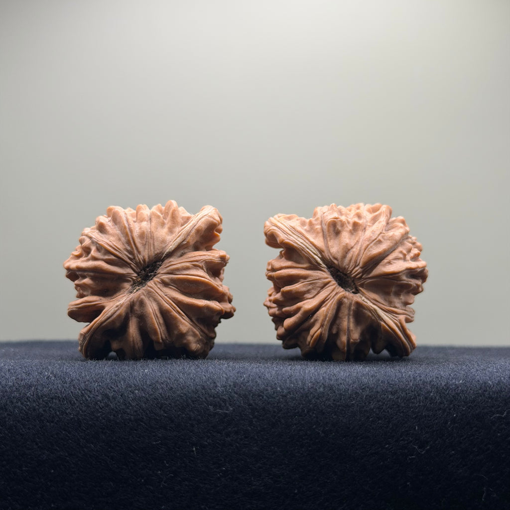 Four Towers Wenwan Walnut · 42mm · Natural · Entry Ritual