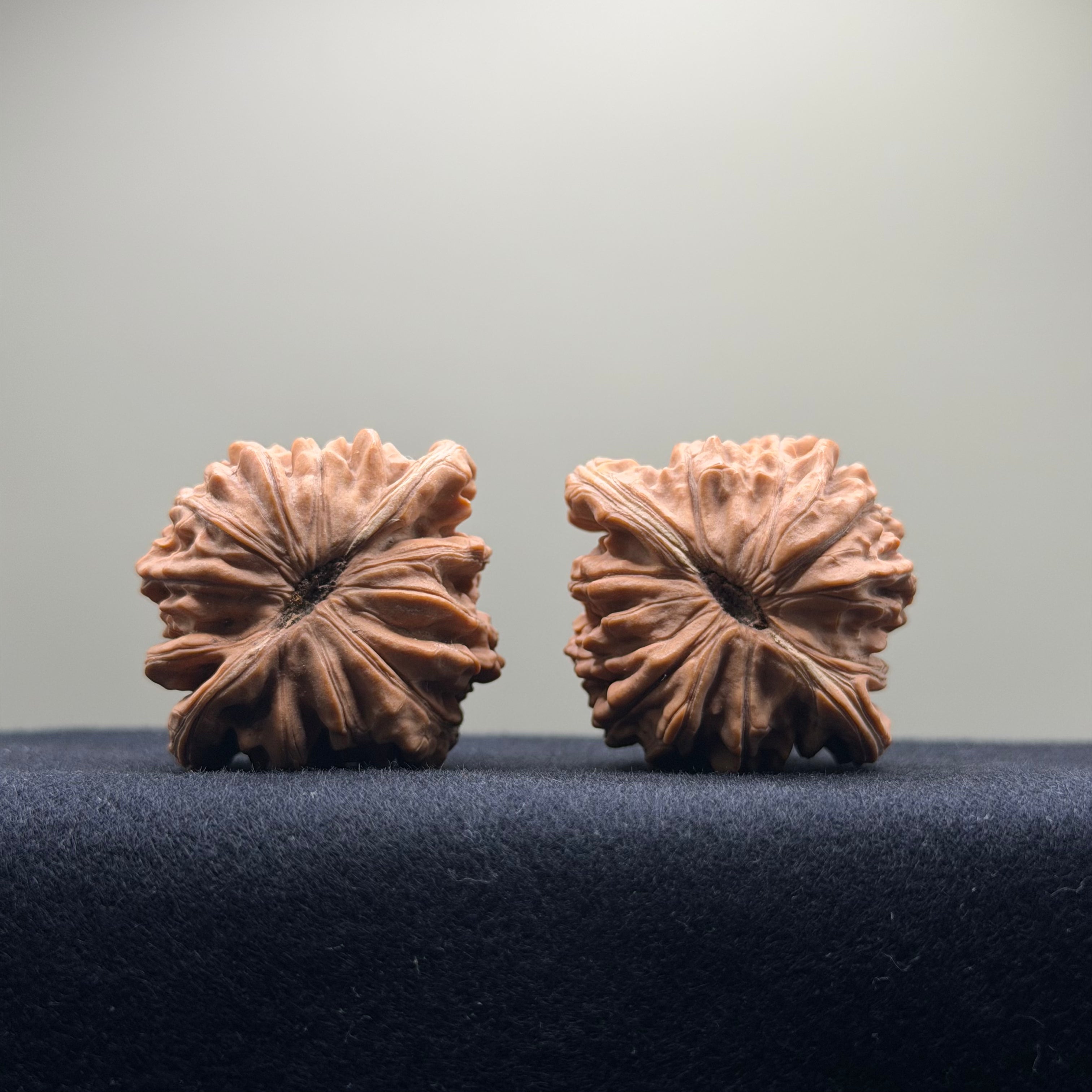 Four Towers Wenwan Walnut · 42mm · Natural · Entry Ritual