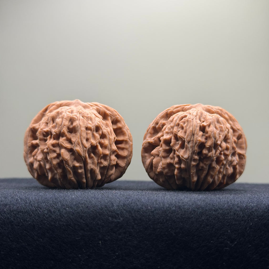 Four Towers Wenwan Walnut · 42mm · Natural · Entry Ritual