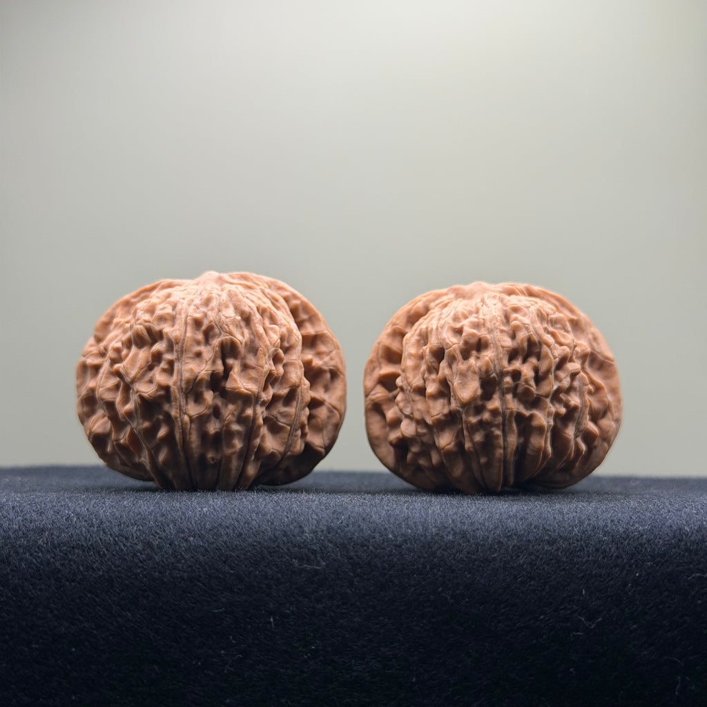Four Towers Wenwan Walnut · 42mm · Natural · Entry Ritual