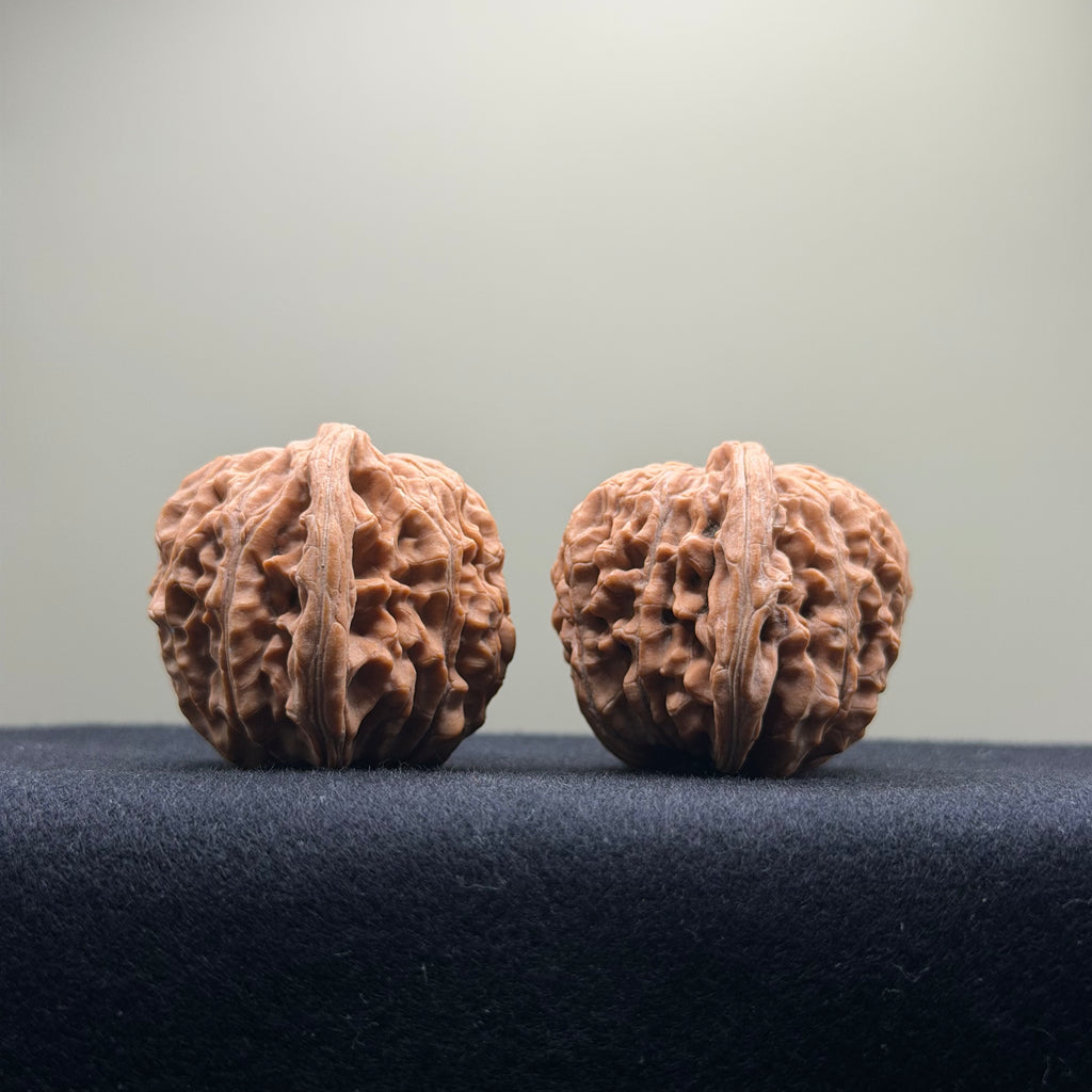 Four Towers Wenwan Walnut · 42mm · Natural · Entry Ritual