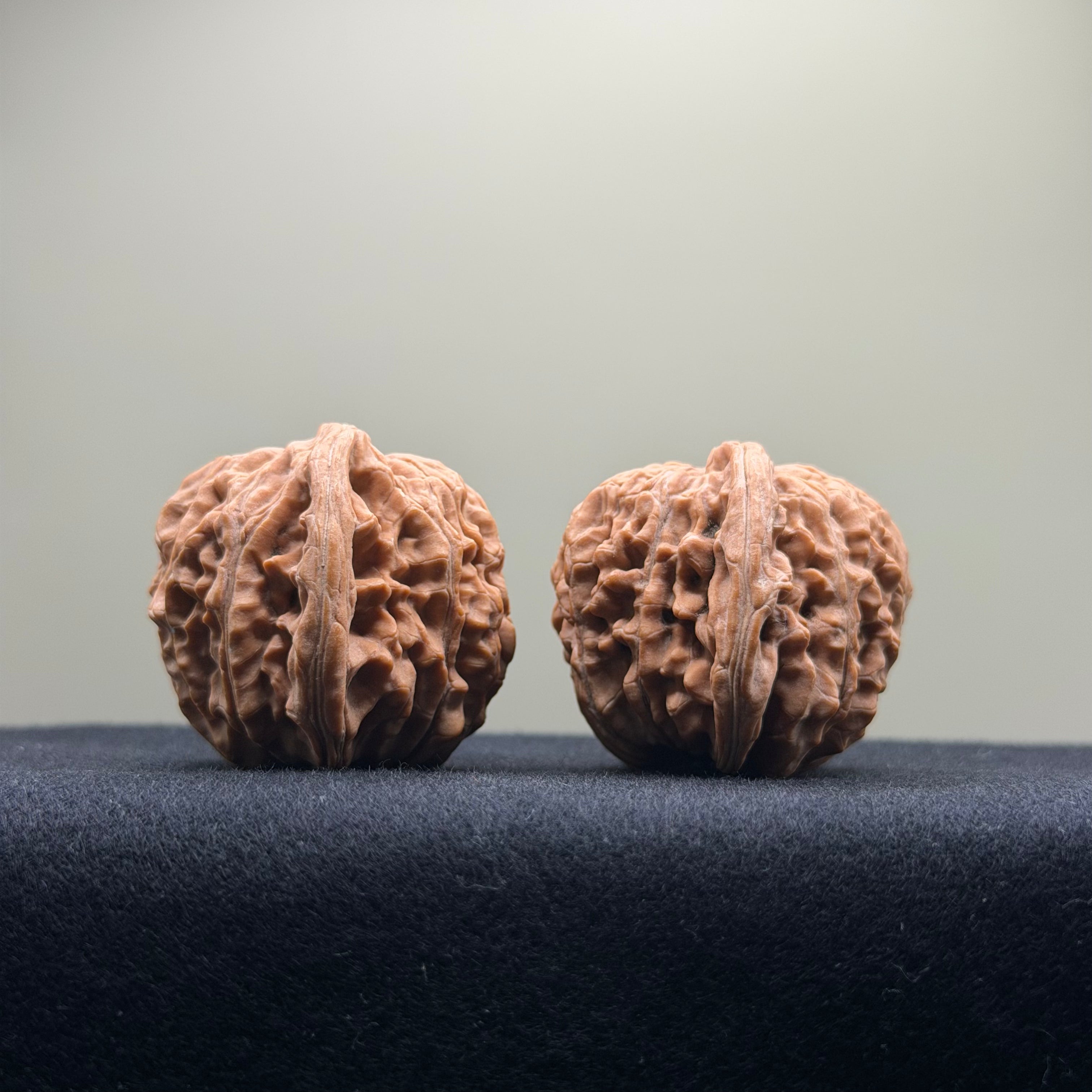 Four Towers Wenwan Walnut · 42mm · Natural · Entry Ritual