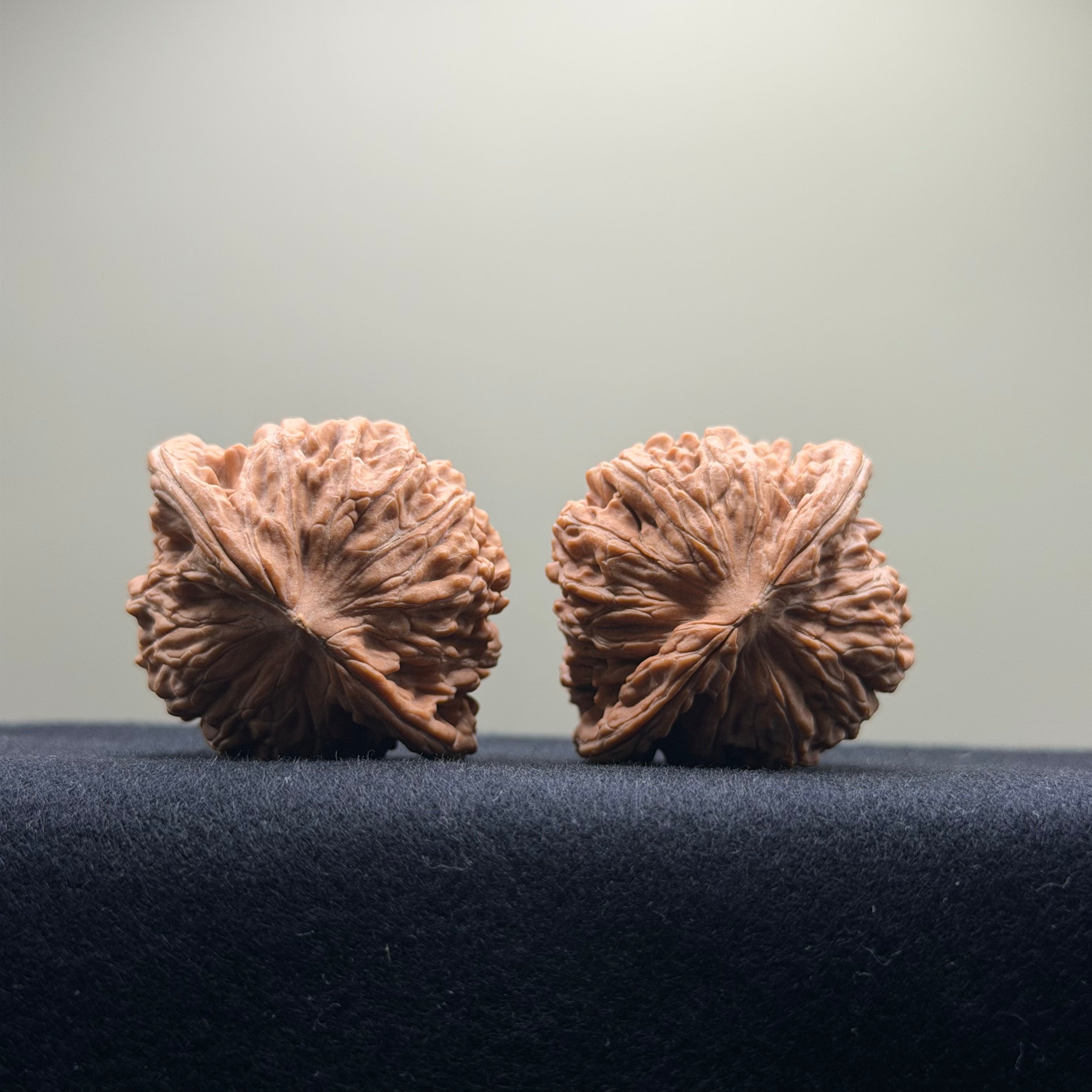 Four Towers Wenwan Walnut · 42mm · Natural · Entry Ritual