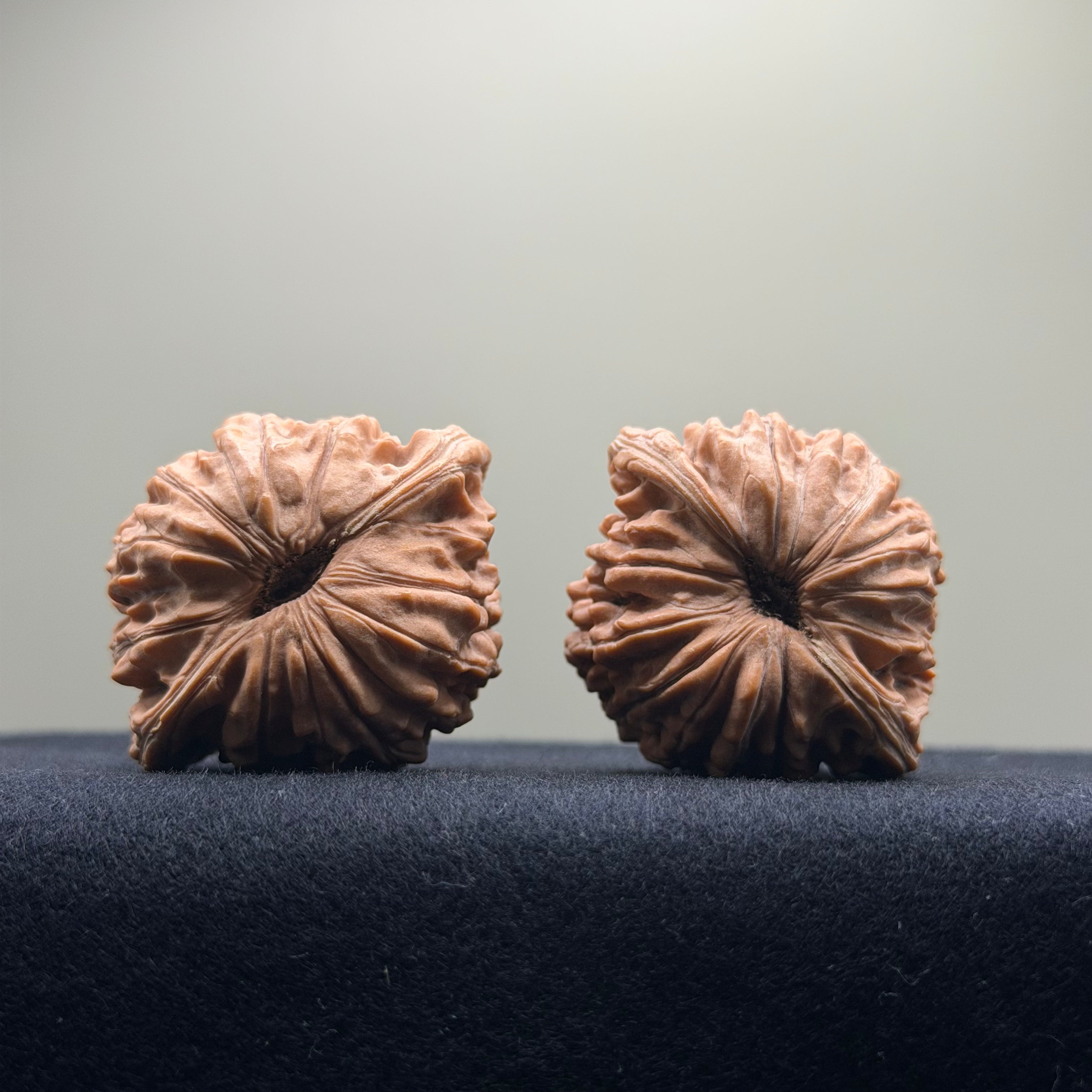 Four Towers Wenwan Walnut · 42mm · Natural · Entry Ritual