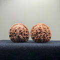 Four Towers Wenwan Walnut · 39mm · Natural · Entry Ritual