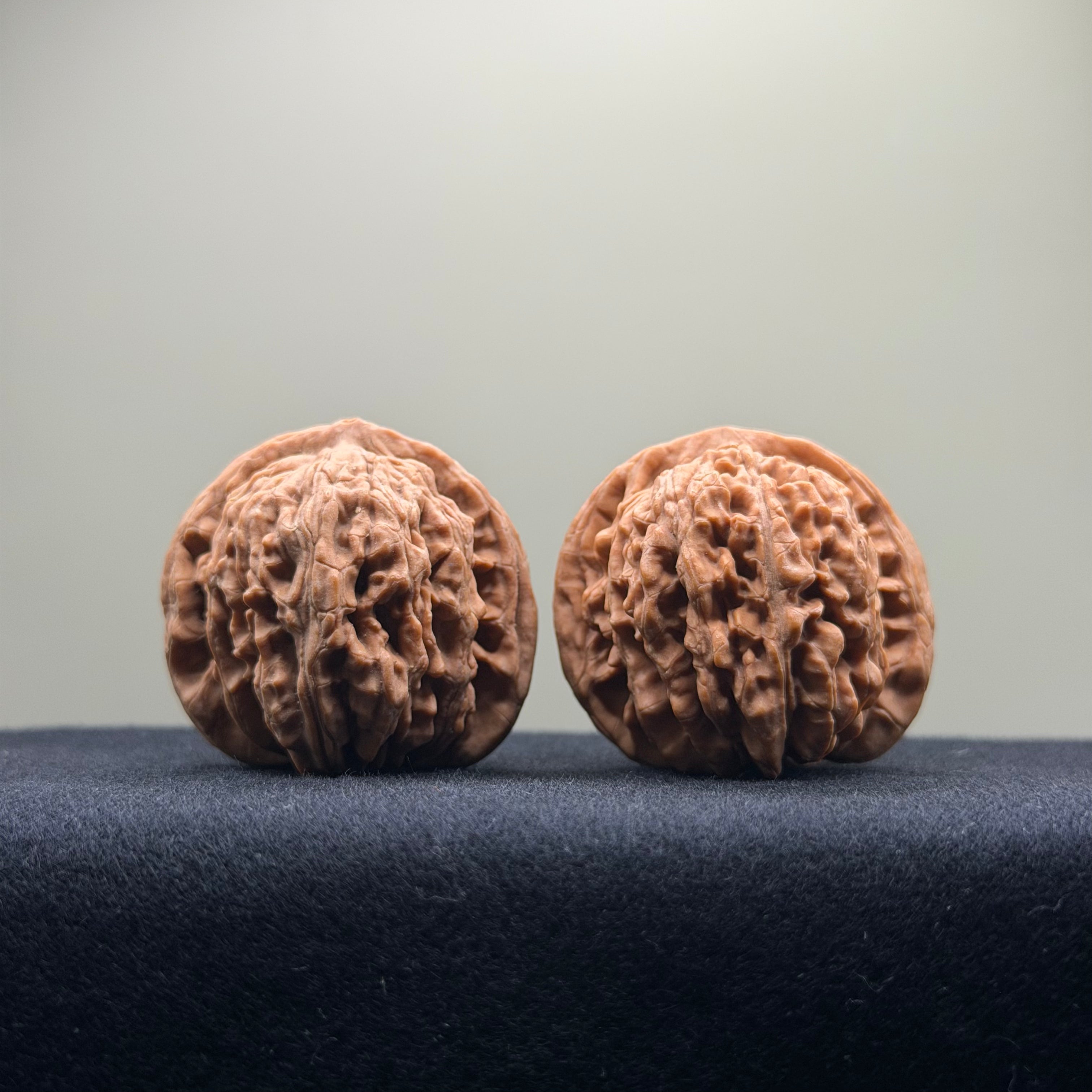 Four Towers Wenwan Walnut · 39mm · Natural · Entry Ritual
