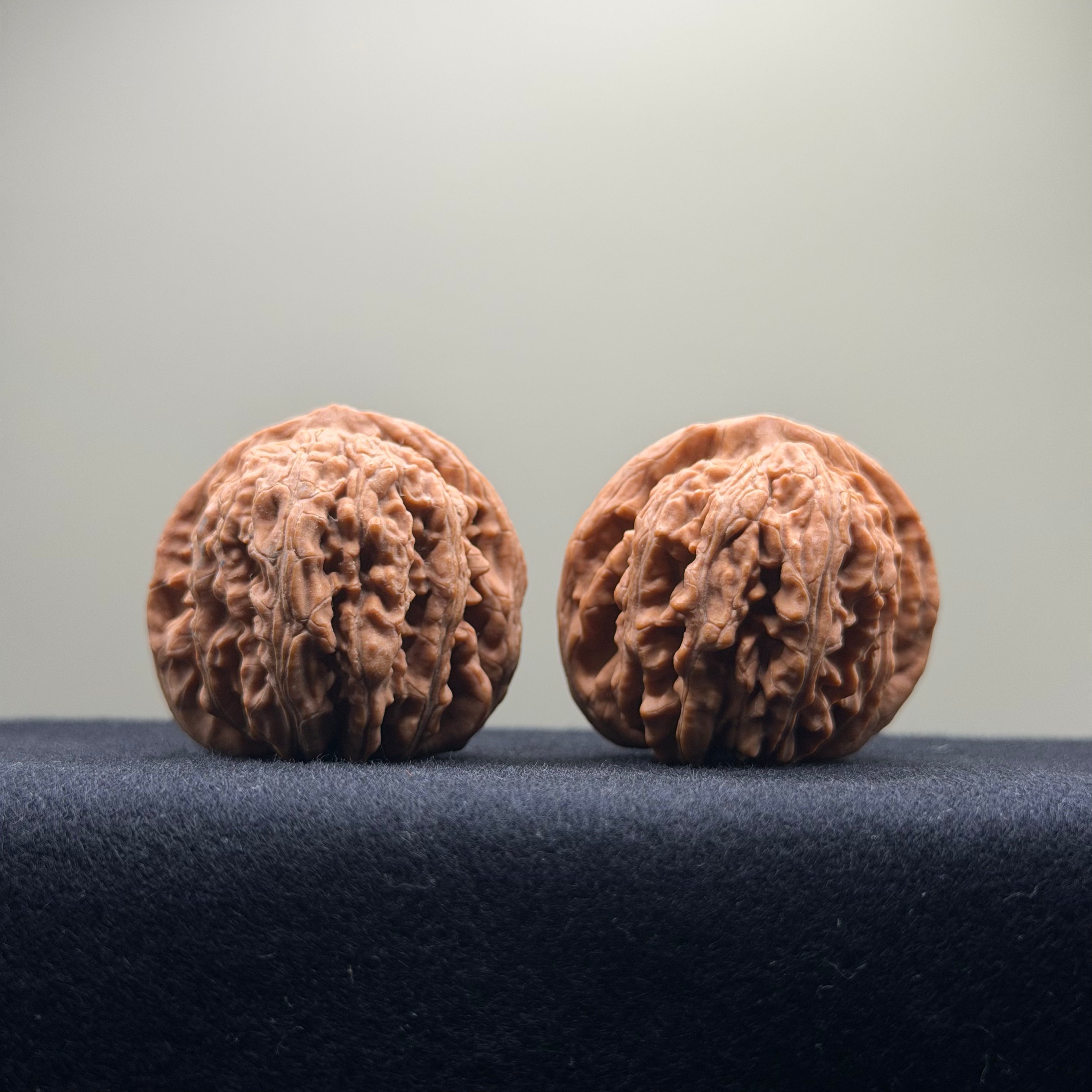 Four Towers Wenwan Walnut · 39mm · Natural · Entry Ritual