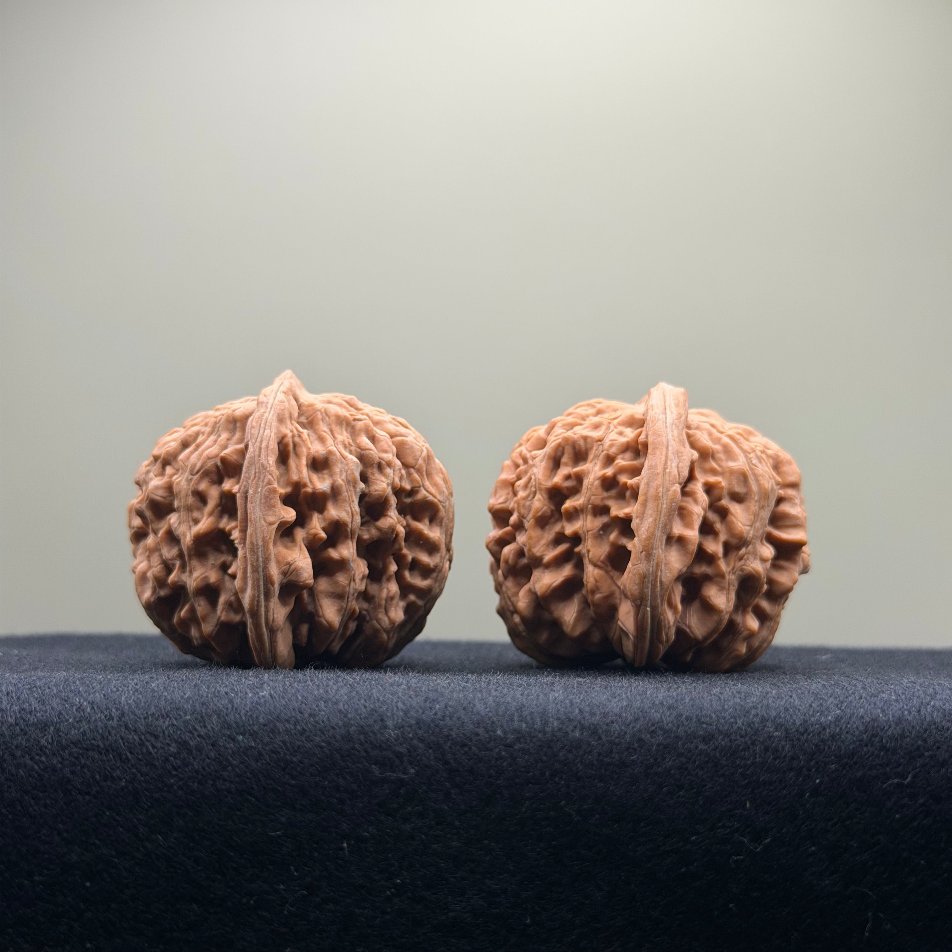 Four Towers Wenwan Walnut · 39mm · Natural · Entry Ritual