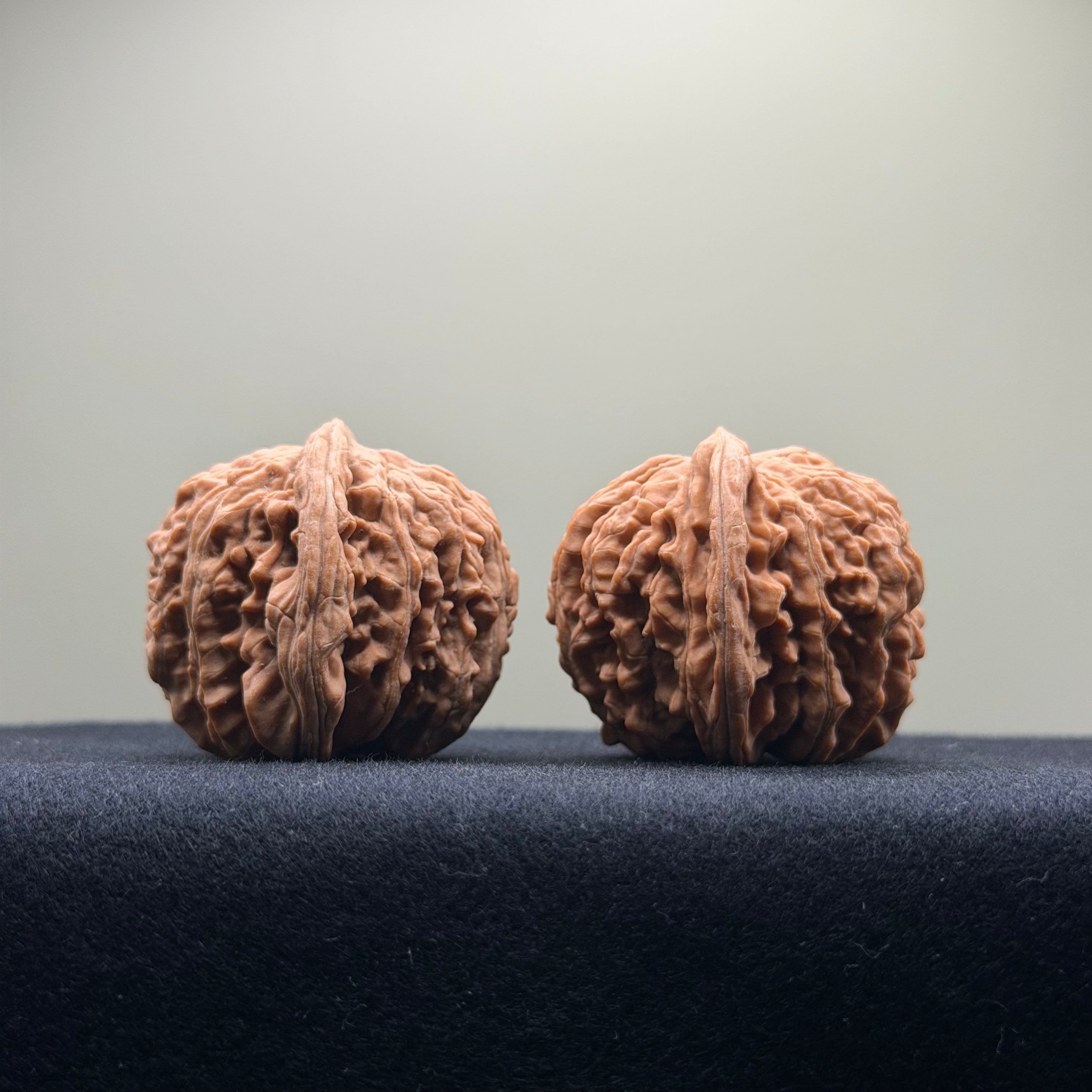 Four Towers Wenwan Walnut · 39mm · Natural · Entry Ritual