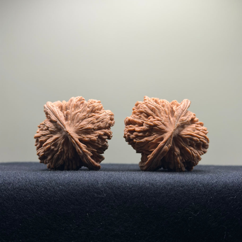 Four Towers Wenwan Walnut · 39mm · Natural · Entry Ritual