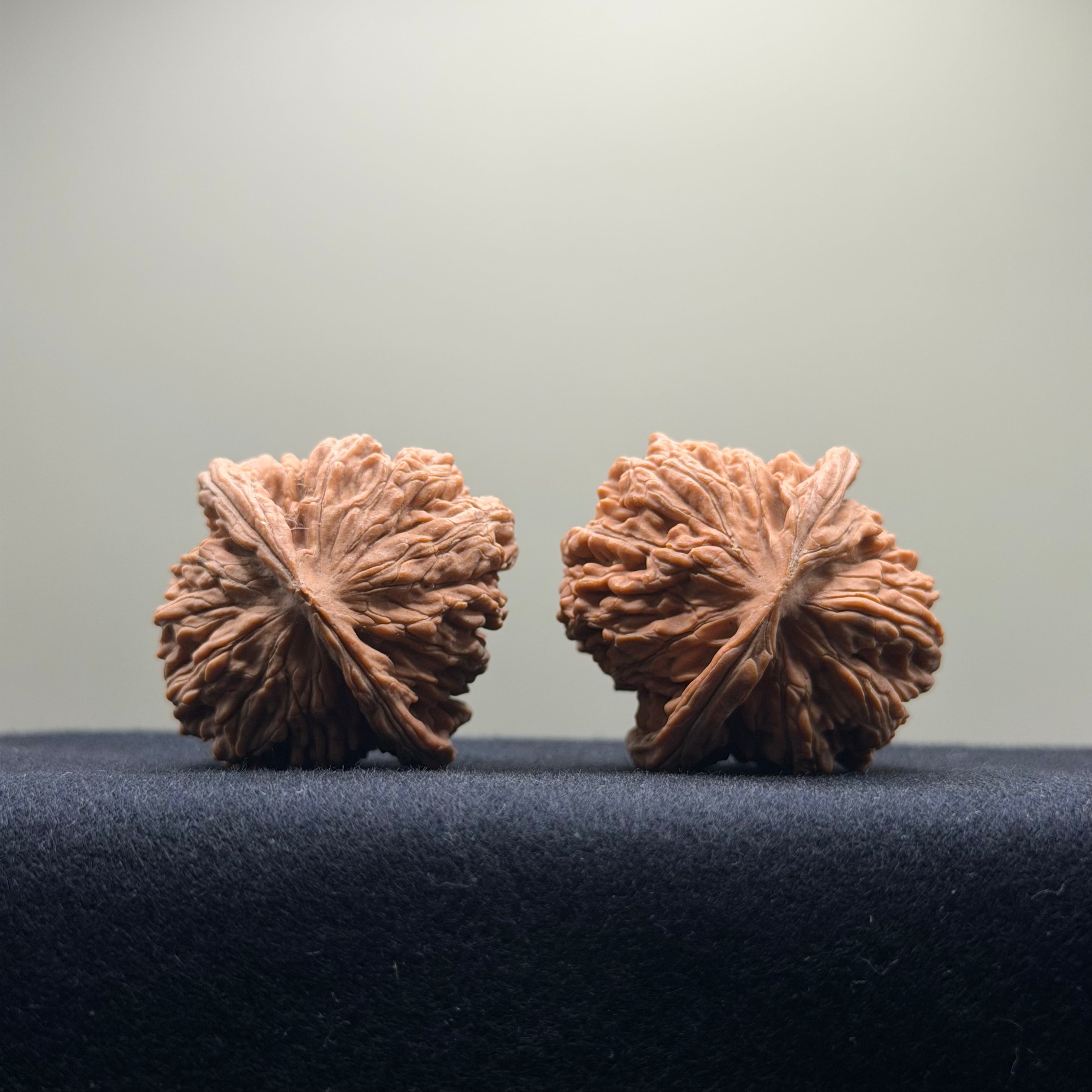 Four Towers Wenwan Walnut · 39mm · Natural · Entry Ritual