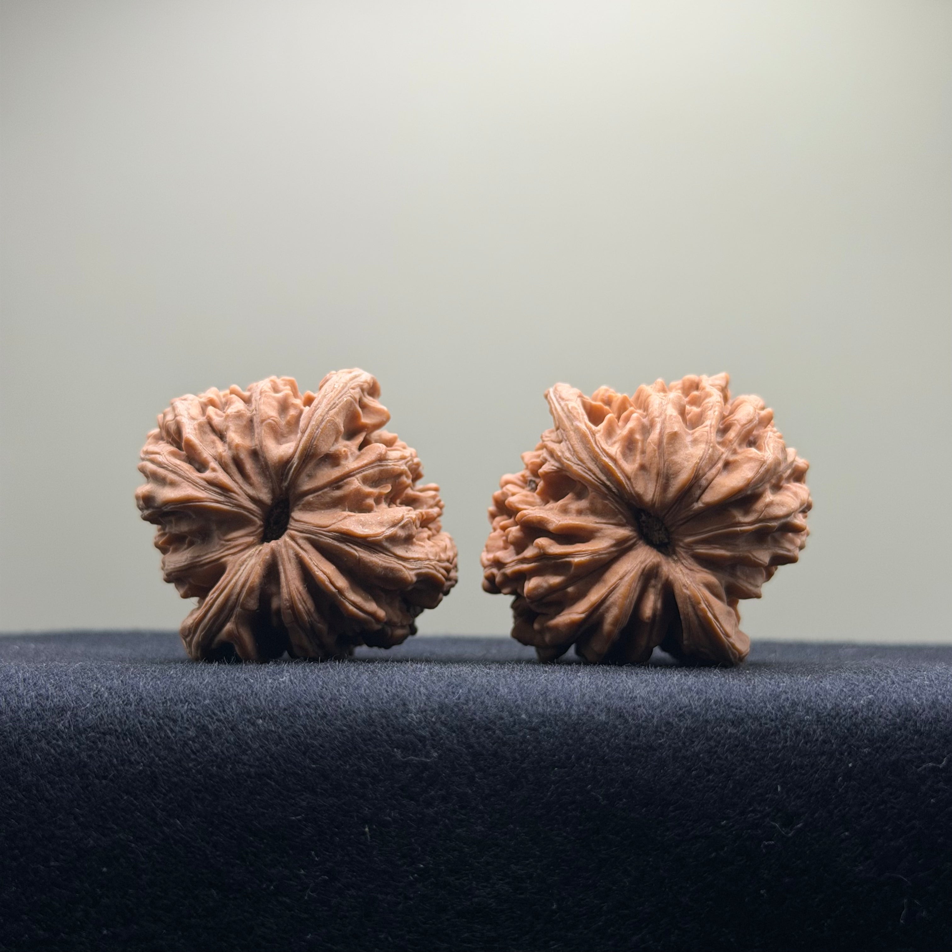 Four Towers Wenwan Walnut · 39mm · Natural · Entry Ritual