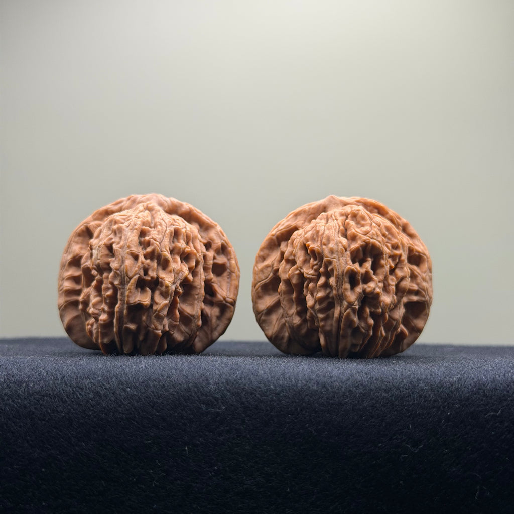 Four Towers Wenwan Walnut · 40mm · Natural · Entry Ritual