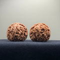 Four Towers Wenwan Walnut · 40mm · Natural · Entry Ritual