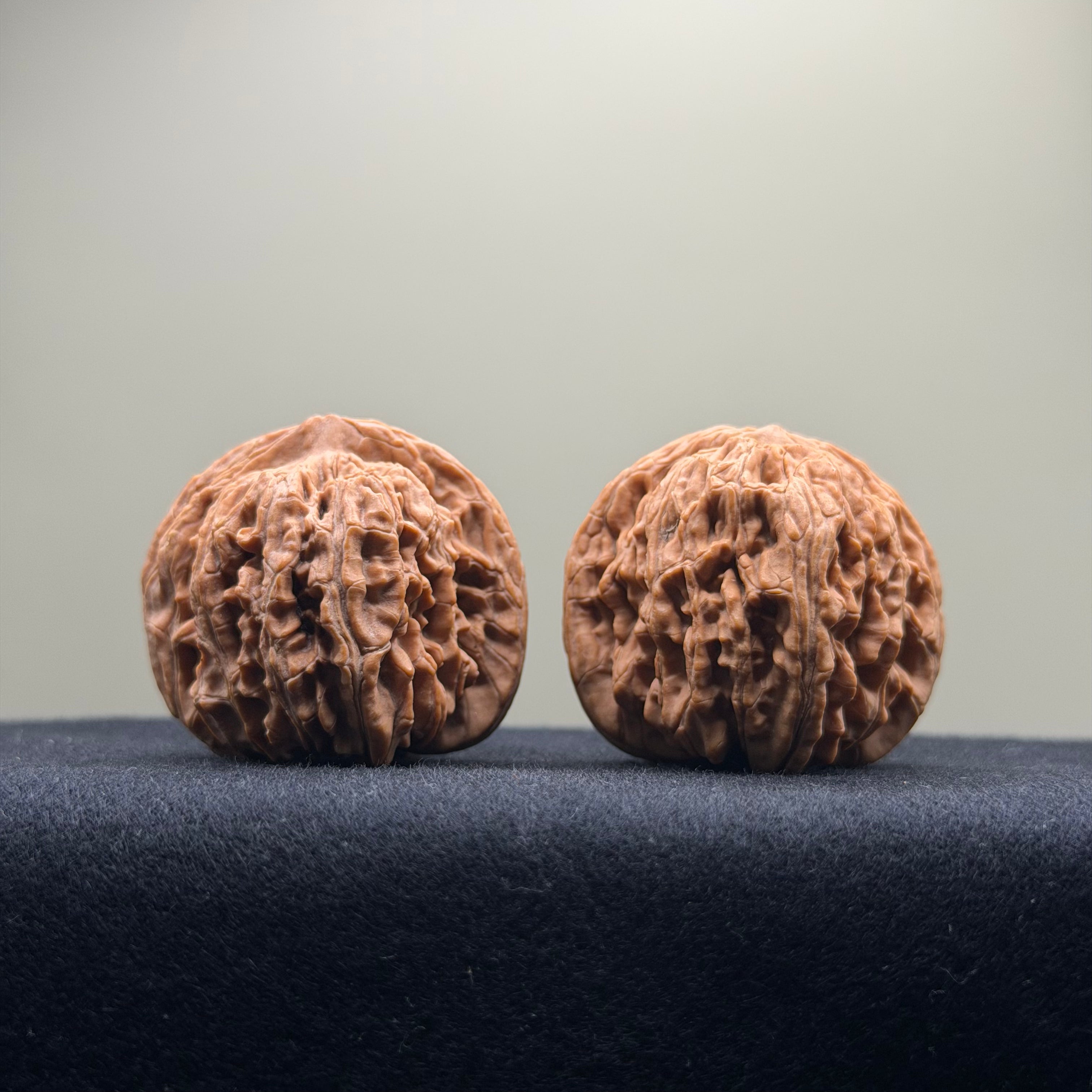 Four Towers Wenwan Walnut · 40mm · Natural · Entry Ritual