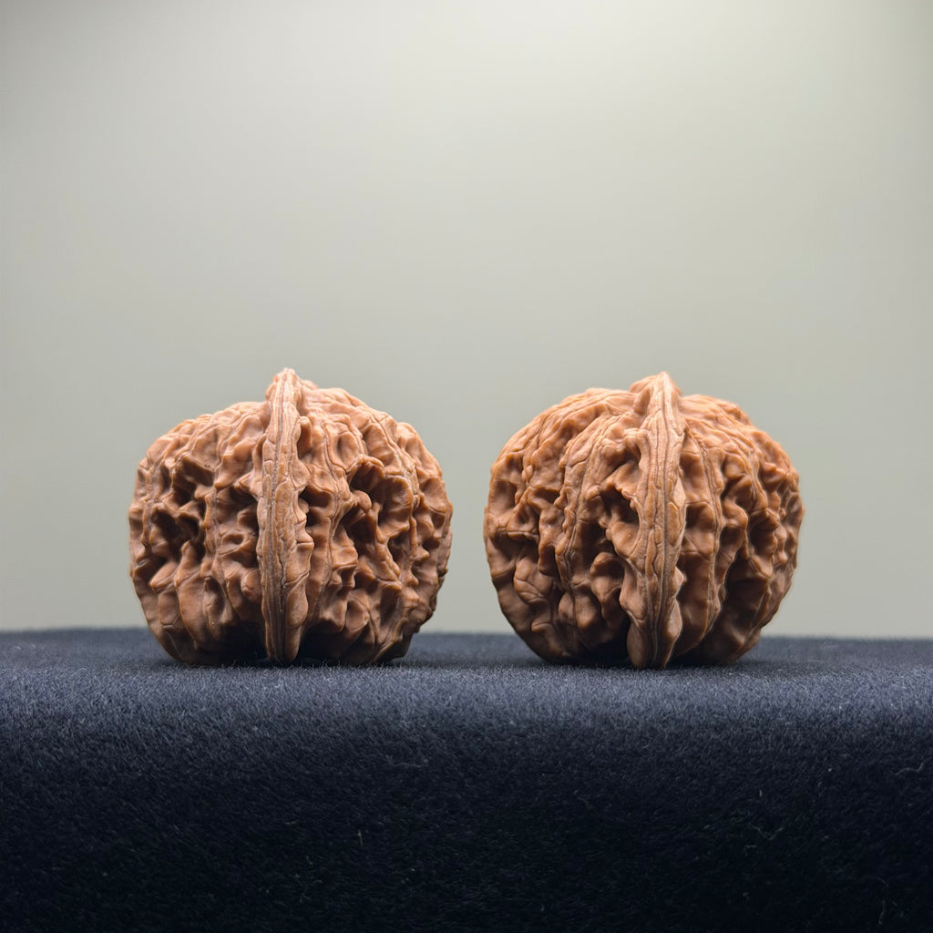 Four Towers Wenwan Walnut · 40mm · Natural · Entry Ritual