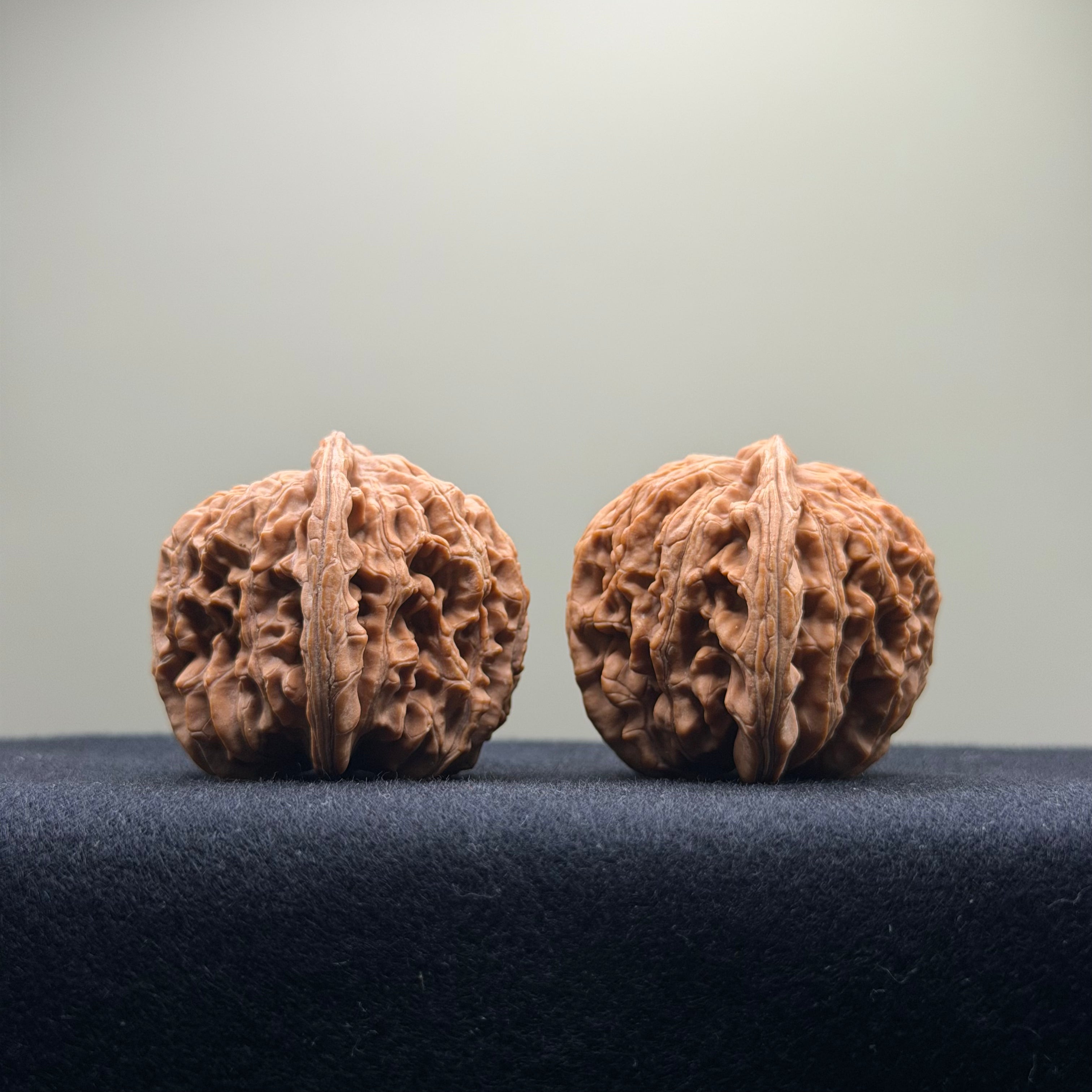 Four Towers Wenwan Walnut · 40mm · Natural · Entry Ritual