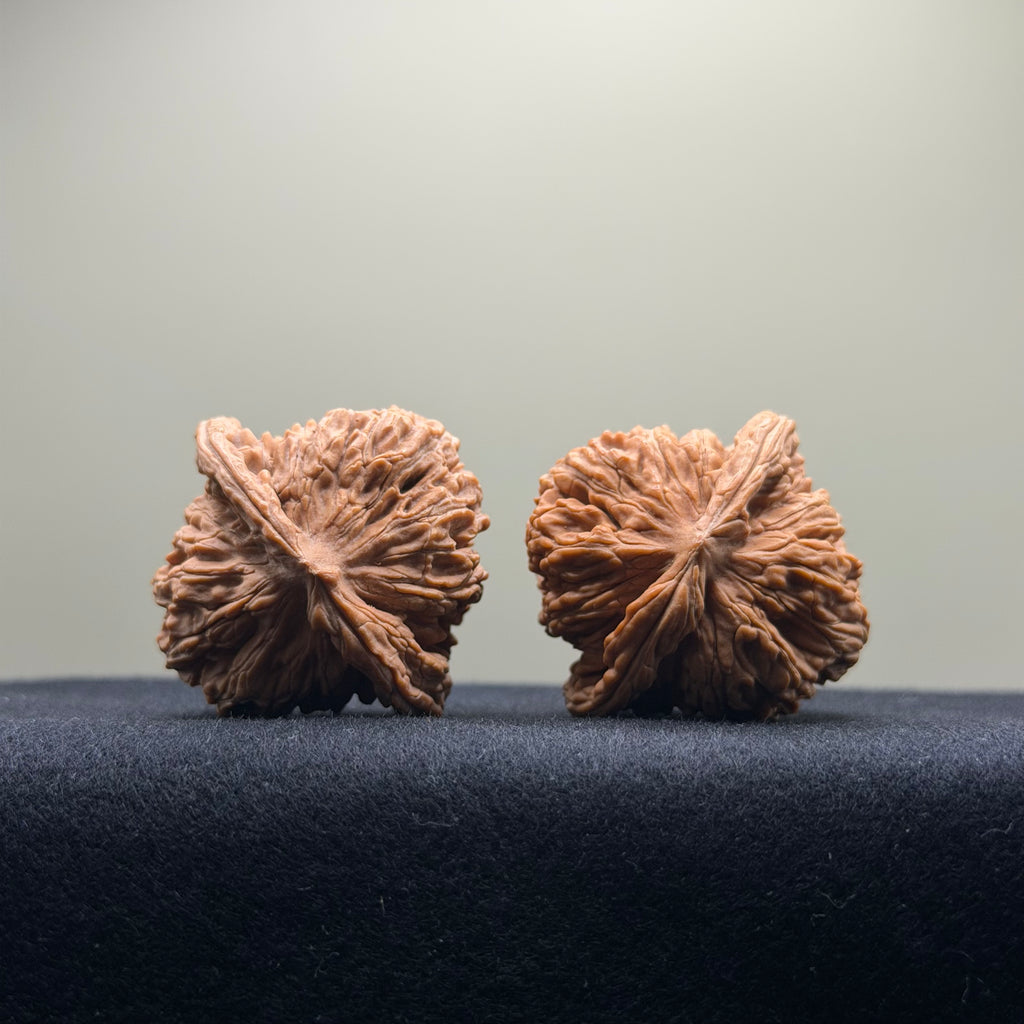 Four Towers Wenwan Walnut · 40mm · Natural · Entry Ritual