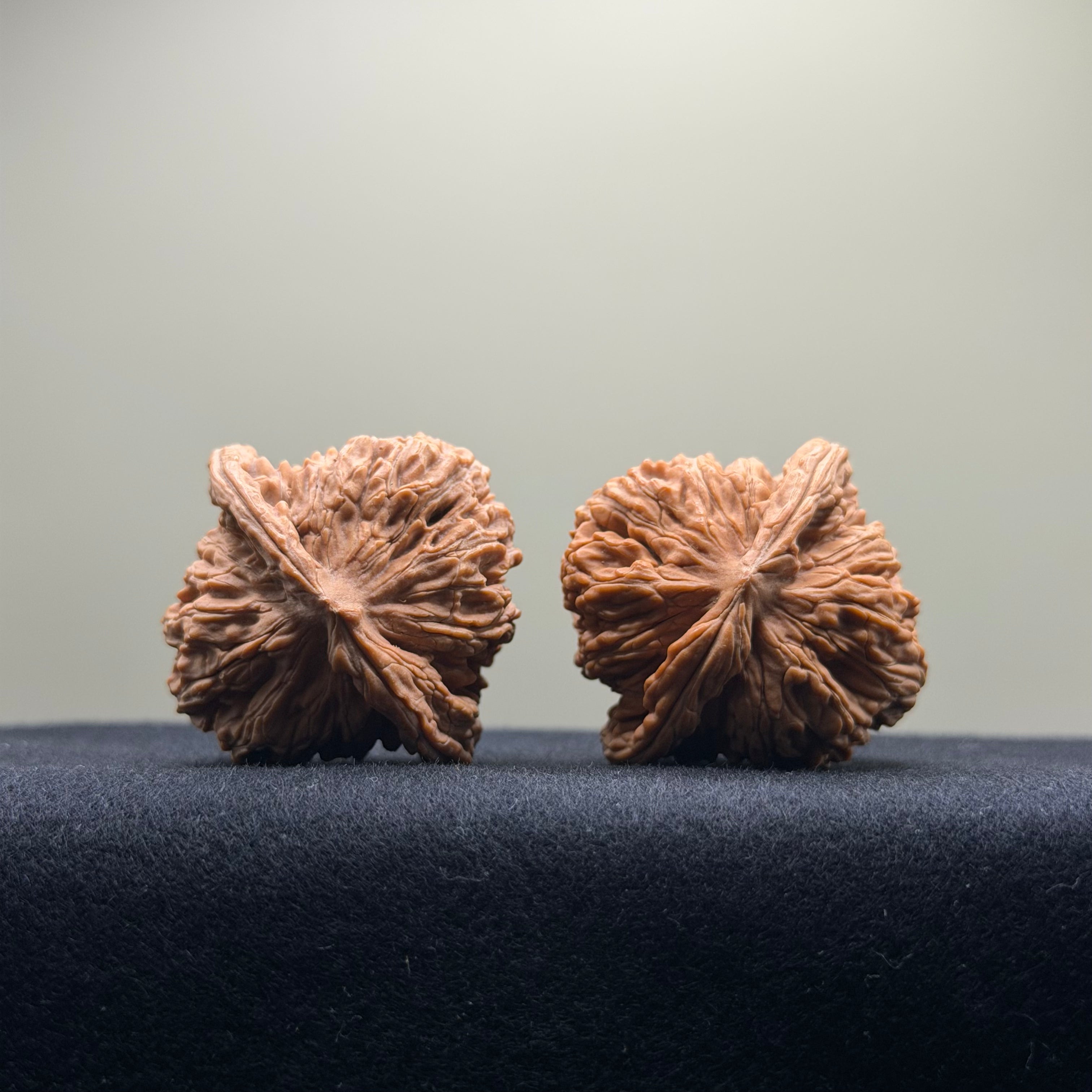Four Towers Wenwan Walnut · 40mm · Natural · Entry Ritual