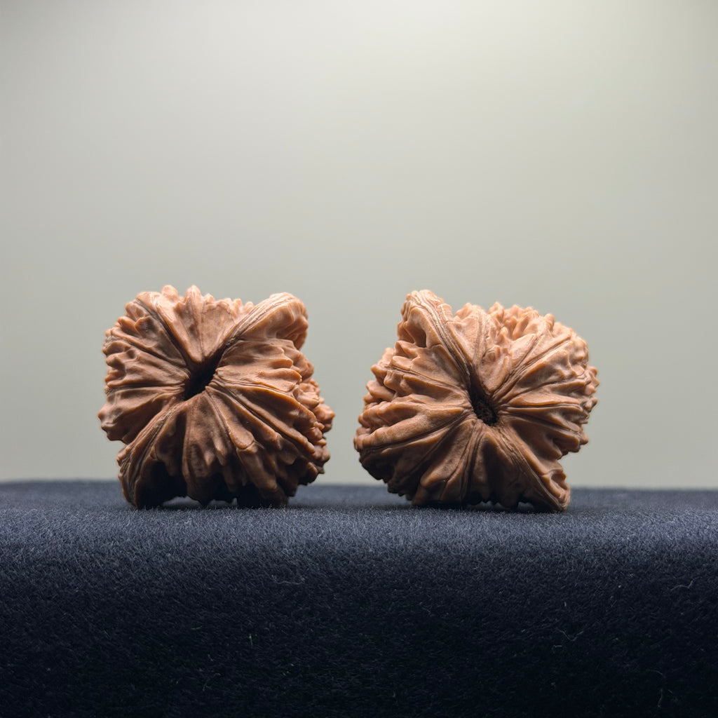 Four Towers Wenwan Walnut · 40mm · Natural · Entry Ritual