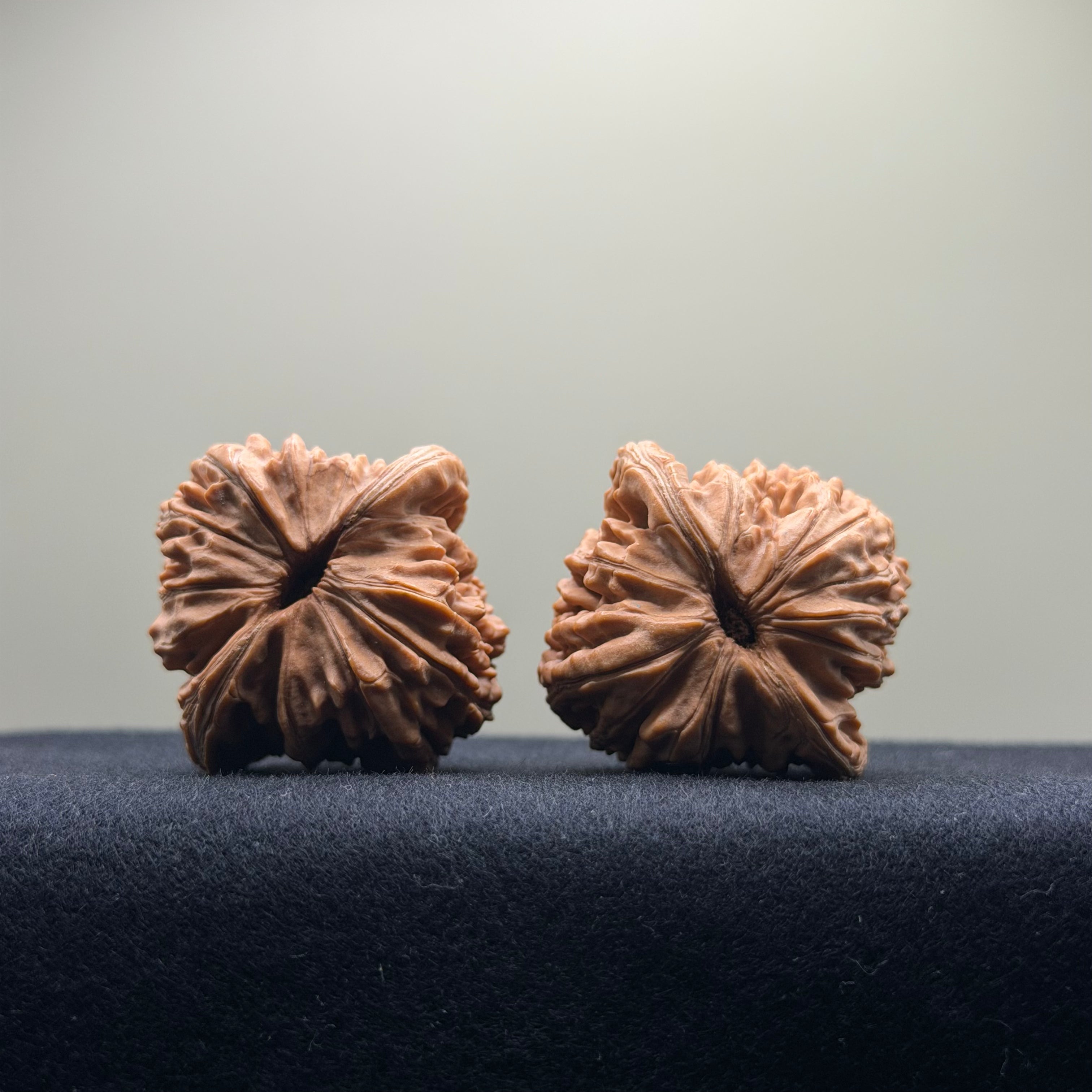 Four Towers Wenwan Walnut · 40mm · Natural · Entry Ritual
