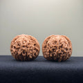 Four Towers Wenwan Walnut · 40mm · Natural · Entry Ritual