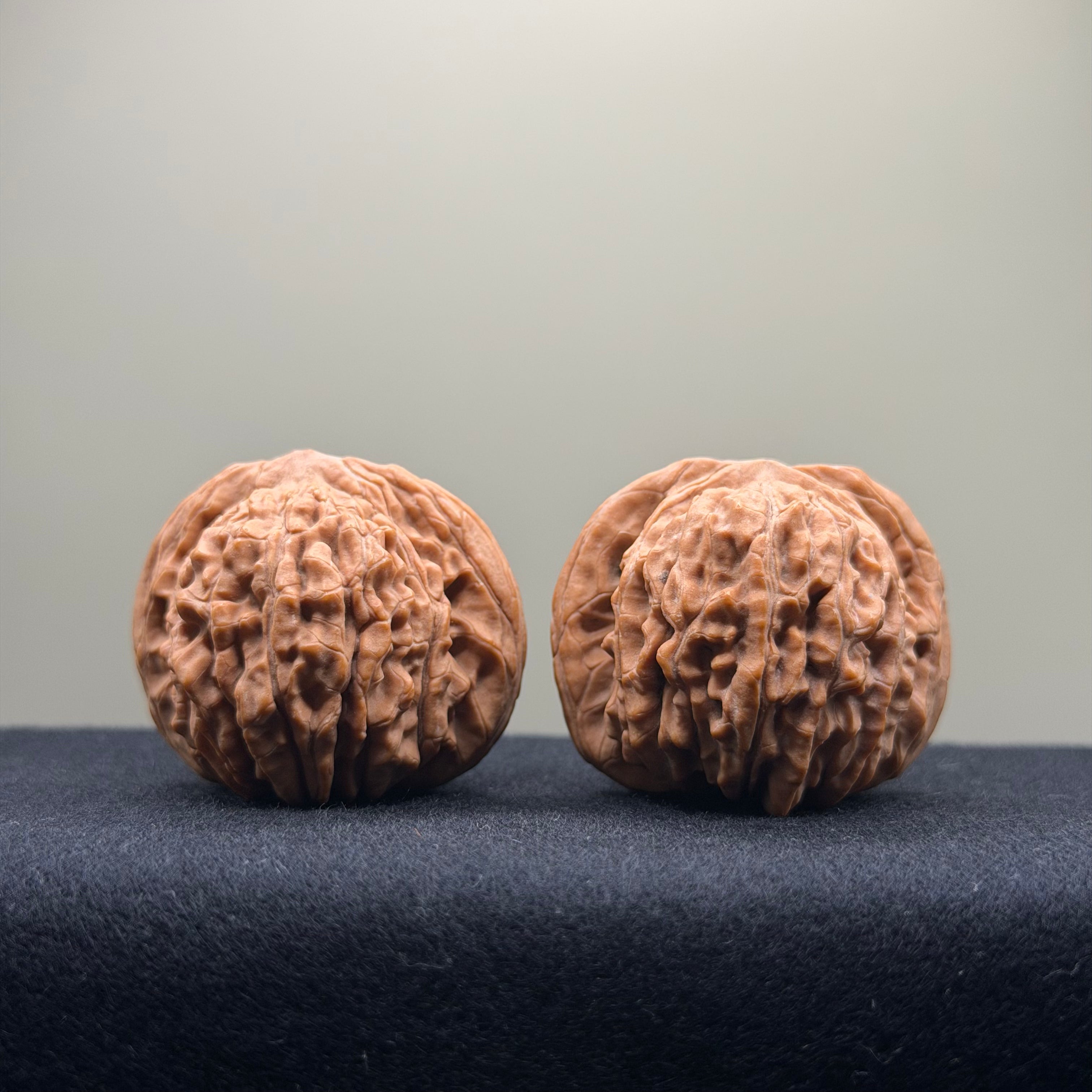 Four Towers Wenwan Walnut · 40mm · Natural · Entry Ritual