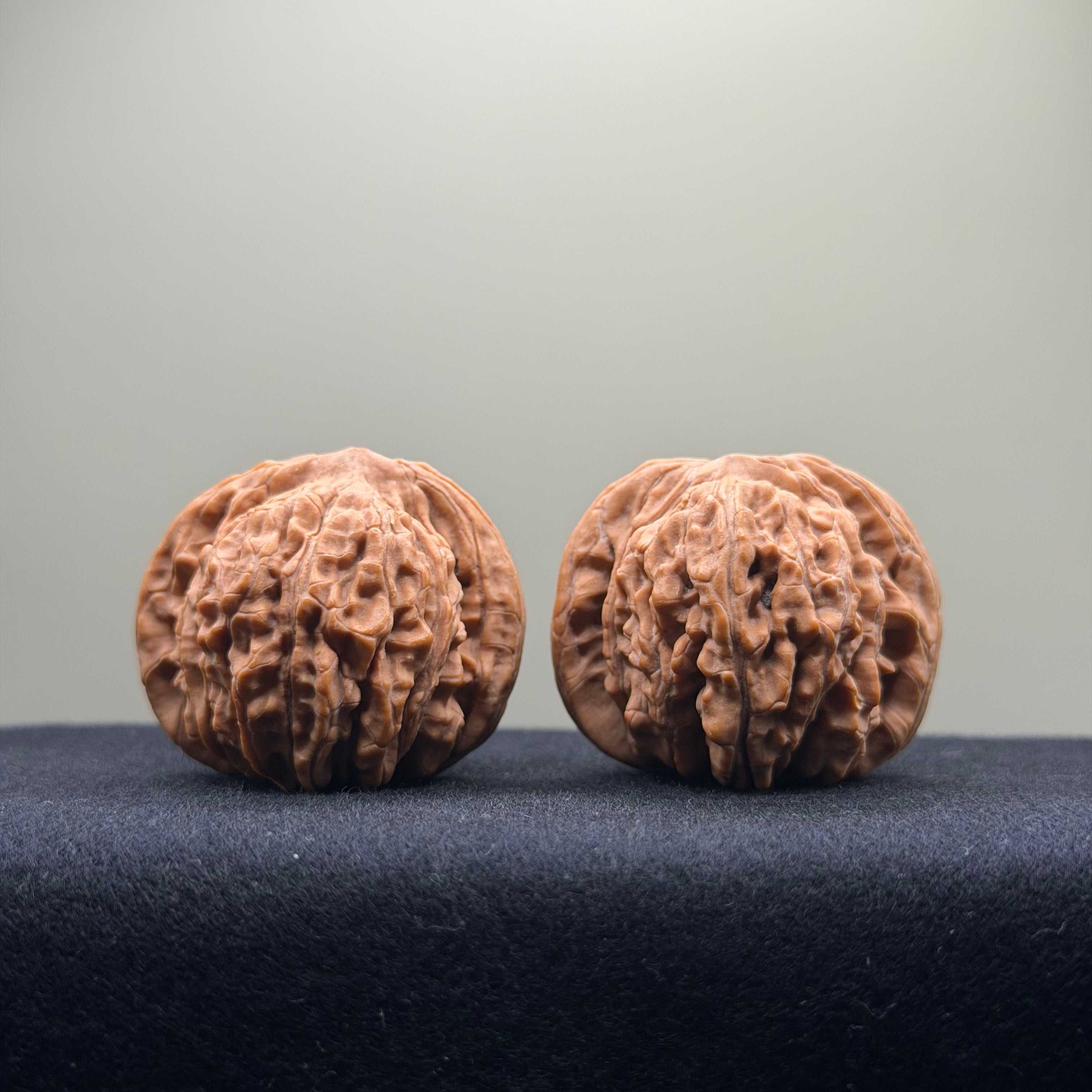 Four Towers Wenwan Walnut · 40mm · Natural · Entry Ritual