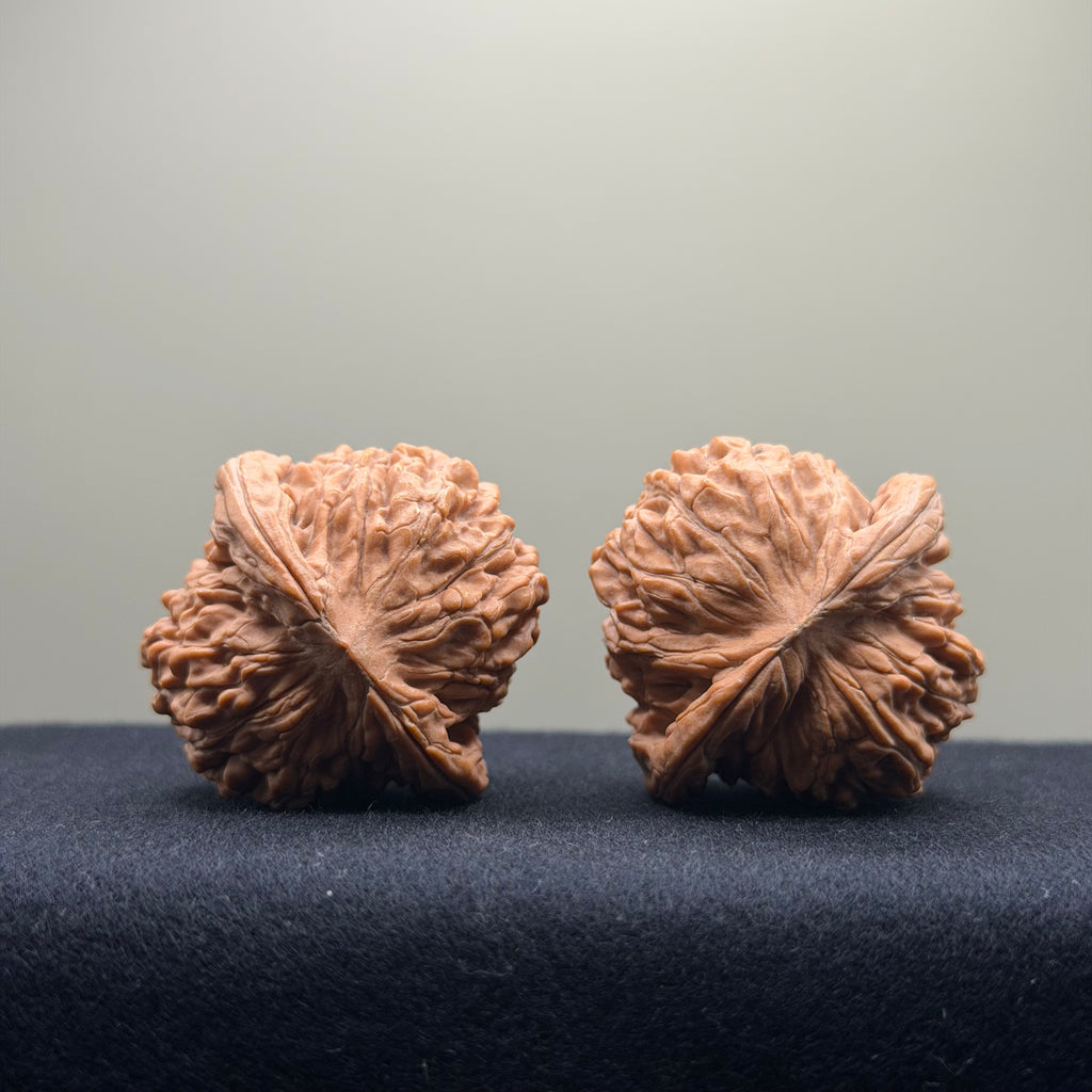 Four Towers Wenwan Walnut · 40mm · Natural · Entry Ritual