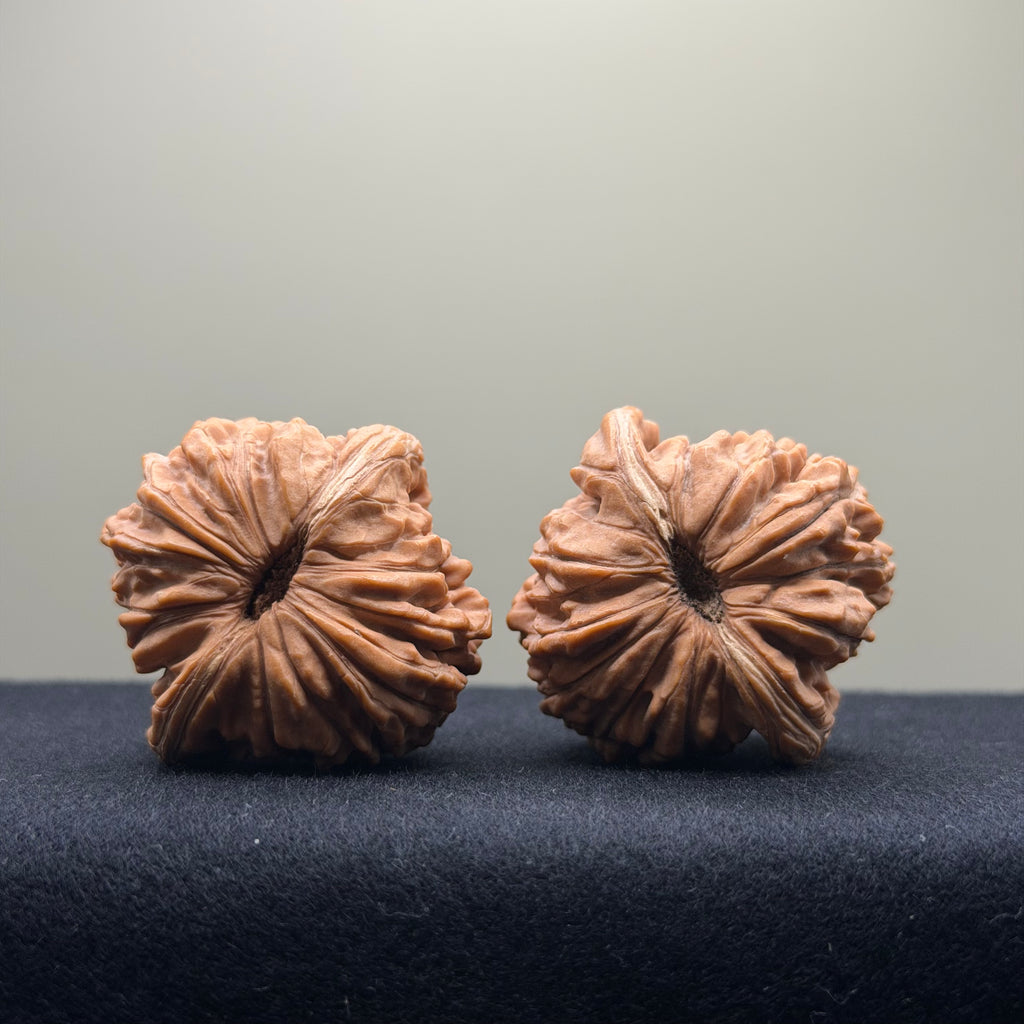 Four Towers Wenwan Walnut · 40mm · Natural · Entry Ritual