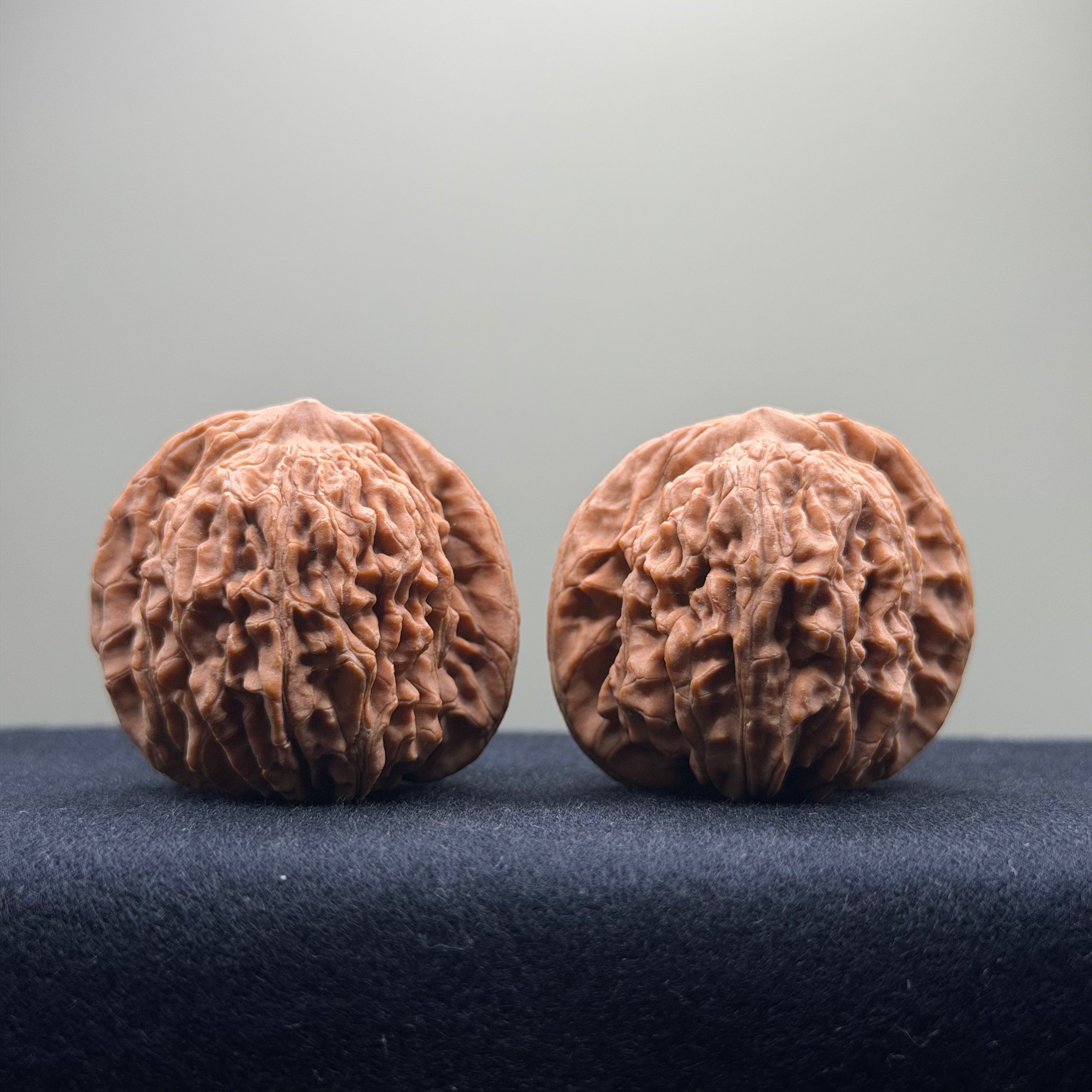 Four Towers Wenwan Walnut · 41mm · Natural · Entry Ritual