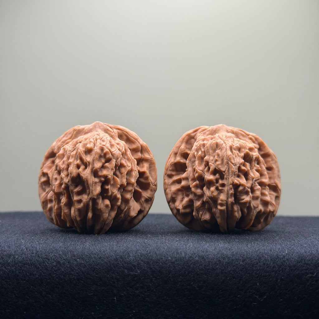 Four Towers Wenwan Walnut · 41mm · Natural · Entry Ritual