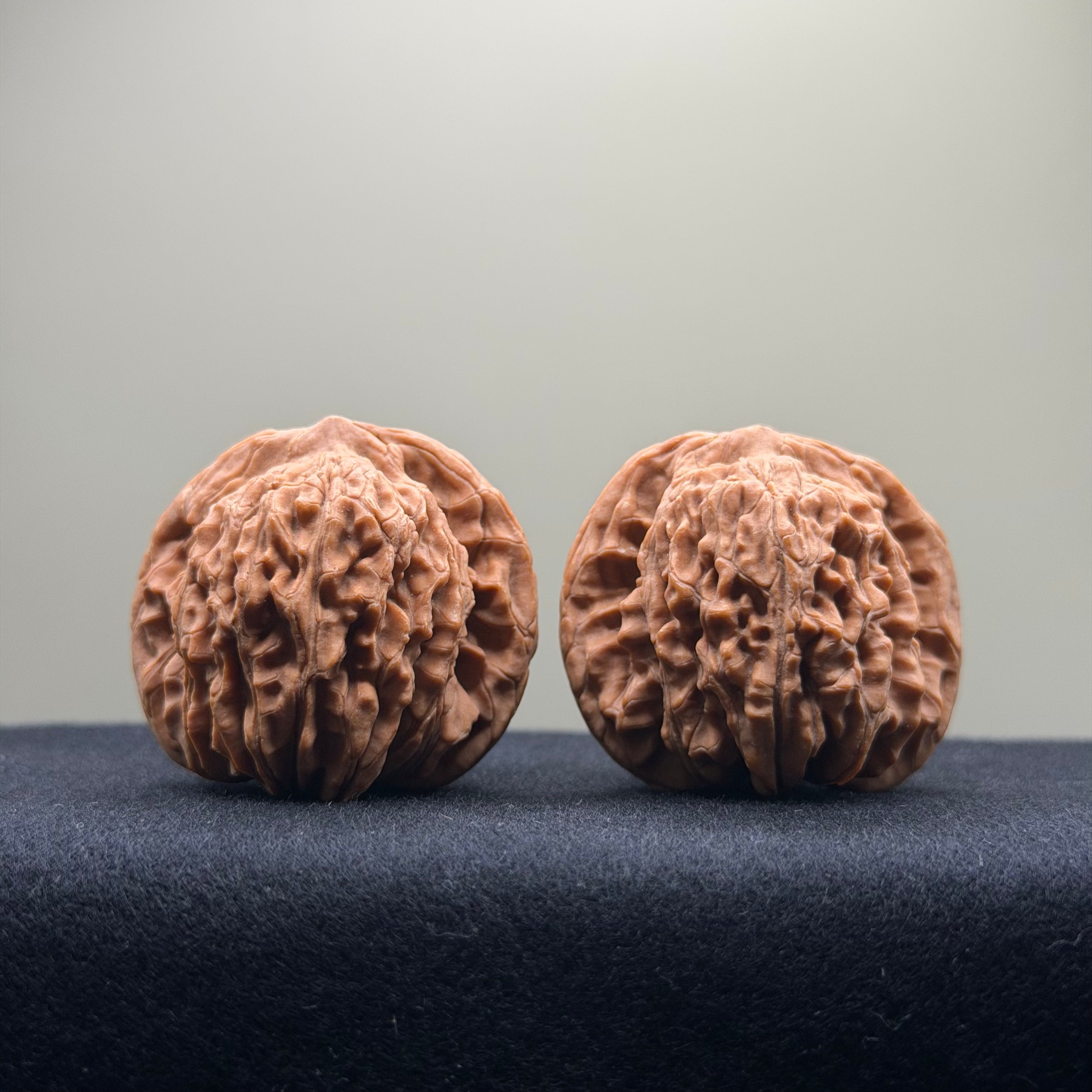 Four Towers Wenwan Walnut · 41mm · Natural · Entry Ritual