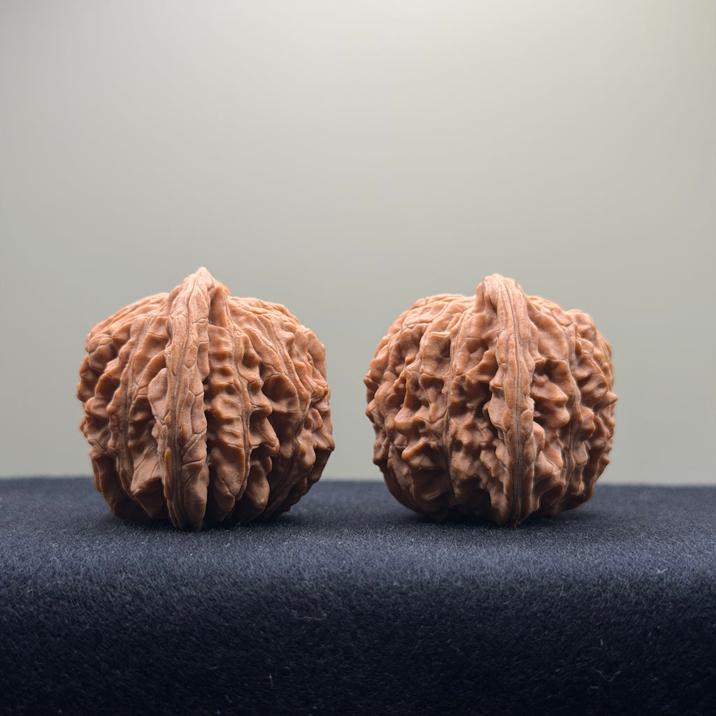Four Towers Wenwan Walnut · 41mm · Natural · Entry Ritual