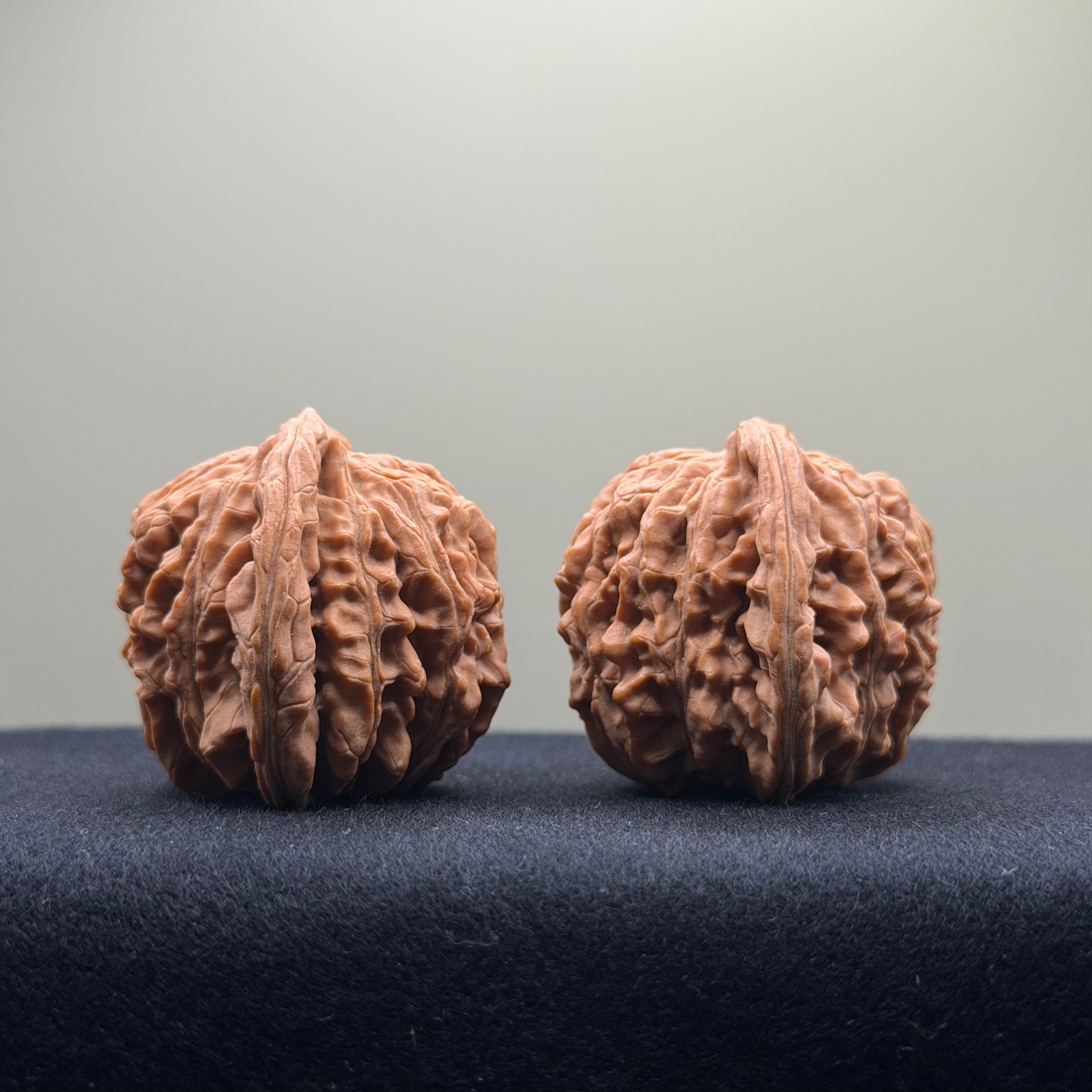 Four Towers Wenwan Walnut · 41mm · Natural · Entry Ritual