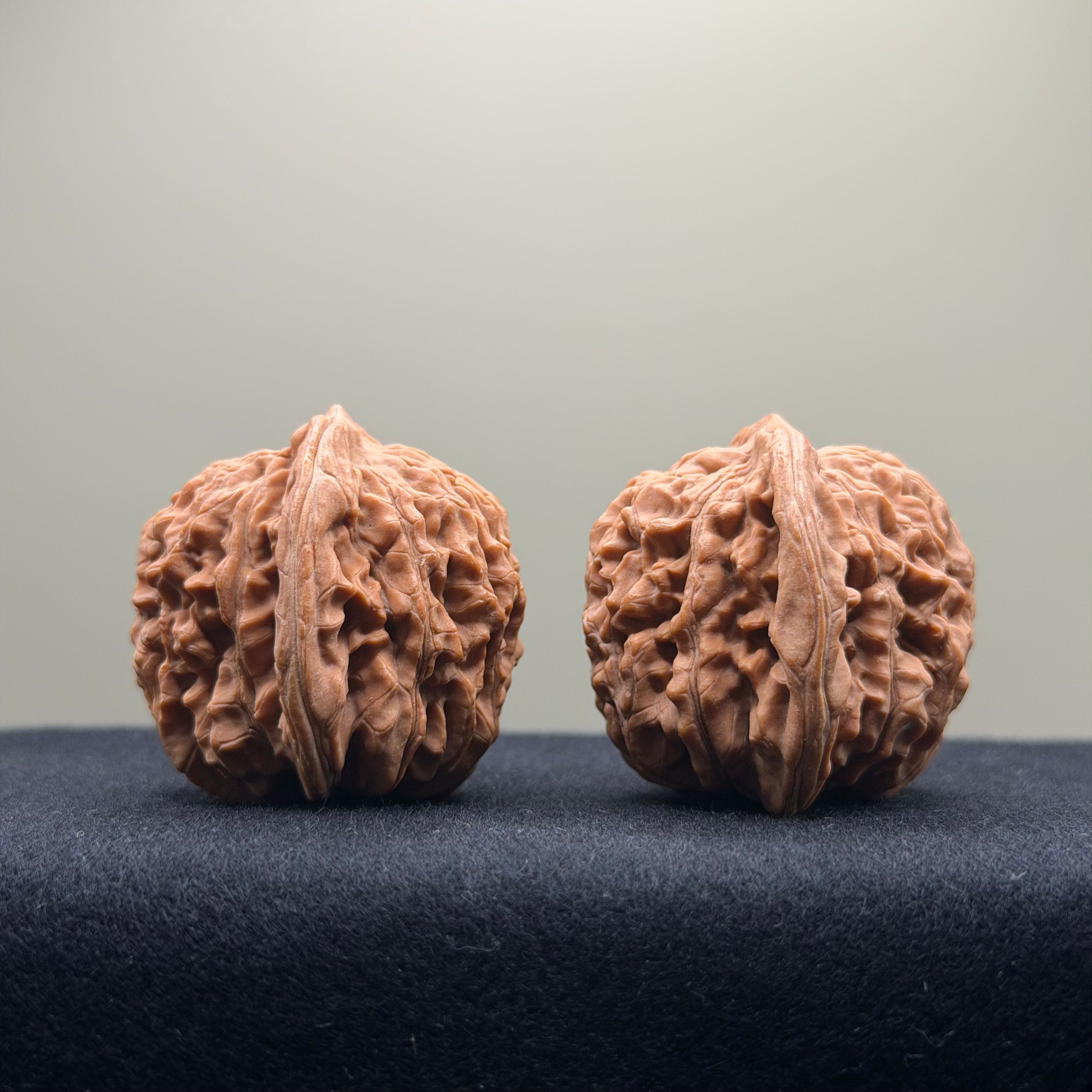 Four Towers Wenwan Walnut · 41mm · Natural · Entry Ritual