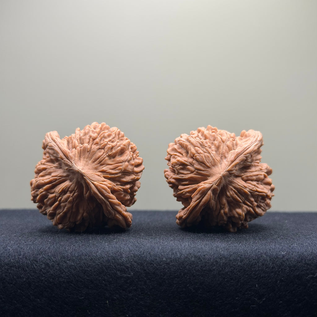 Four Towers Wenwan Walnut · 41mm · Natural · Entry Ritual