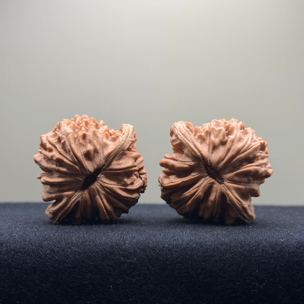 Four Towers Wenwan Walnut · 41mm · Natural · Entry Ritual