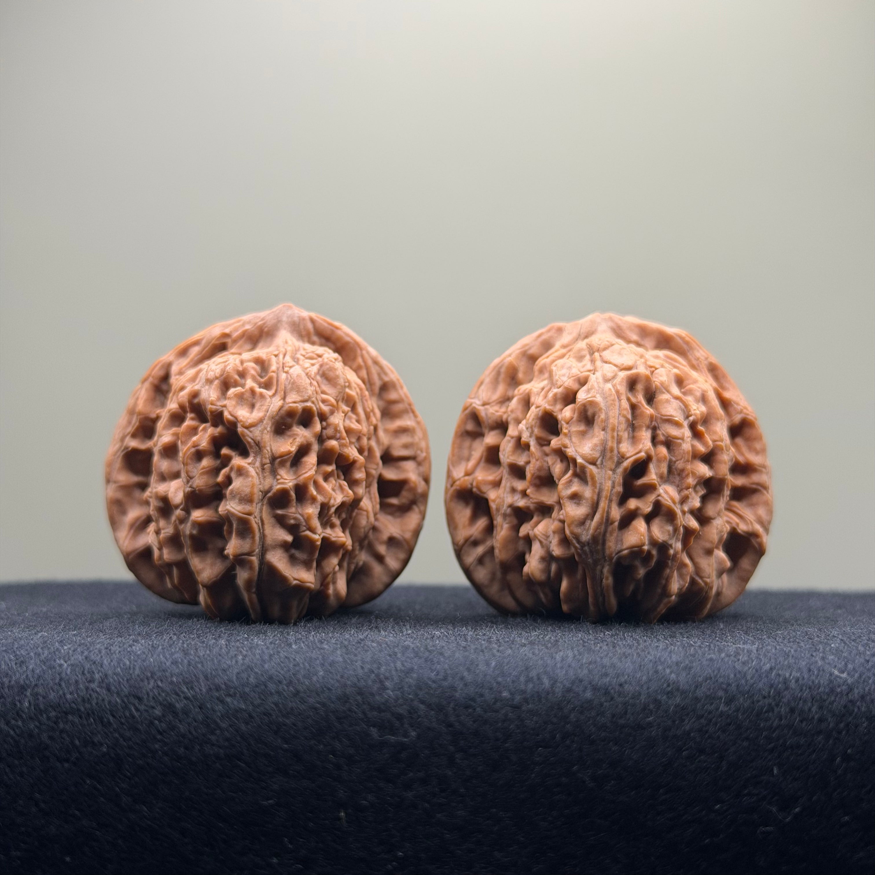 Four Towers Wenwan Walnut · 40mm · Natural · Select Ritual