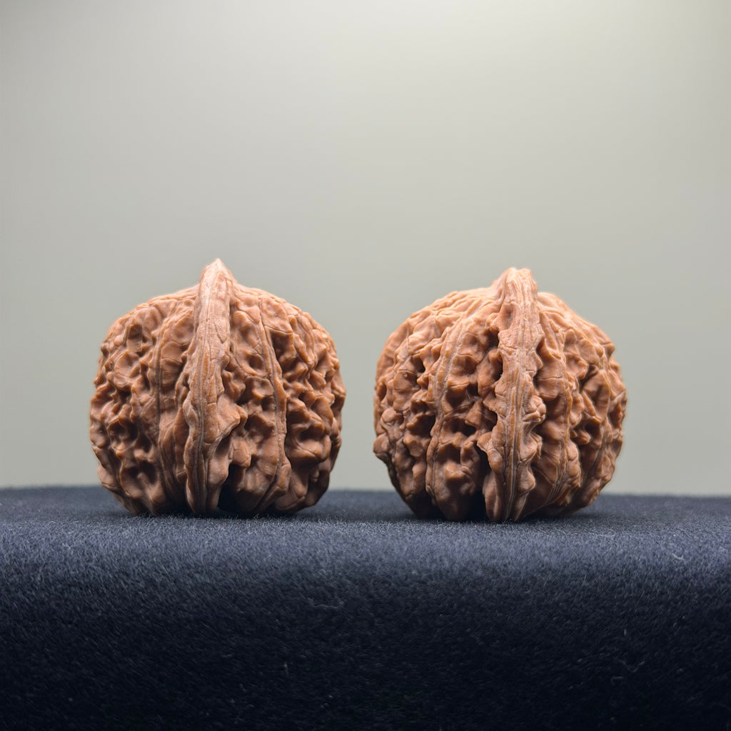 Four Towers Wenwan Walnut · 40mm · Natural · Select Ritual