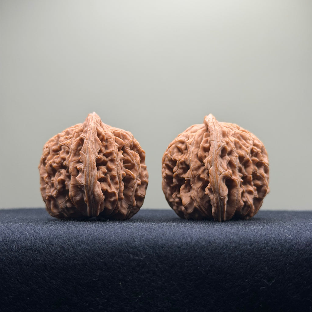 Four Towers Wenwan Walnut · 40mm · Natural · Select Ritual