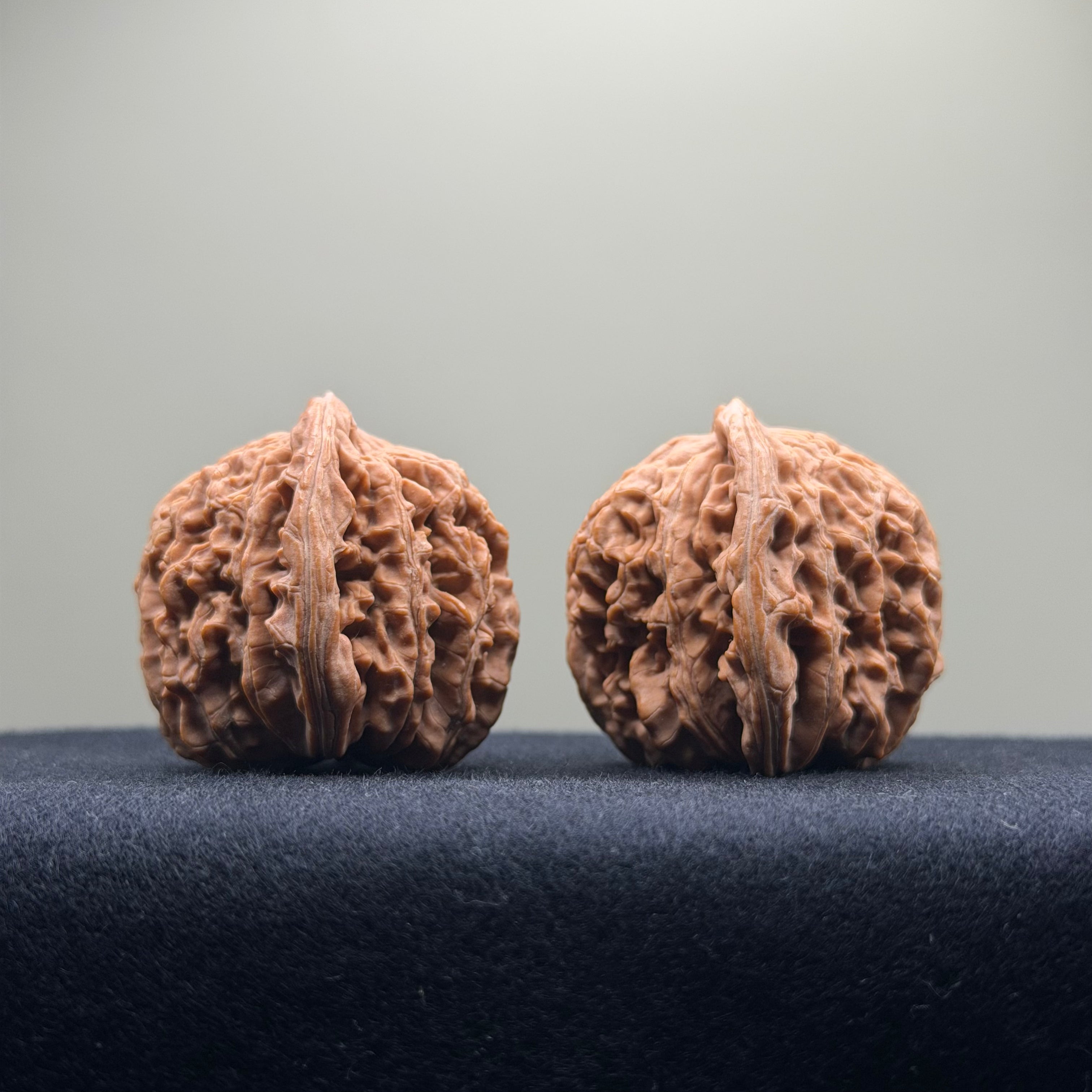 Four Towers Wenwan Walnut · 40mm · Natural · Select Ritual