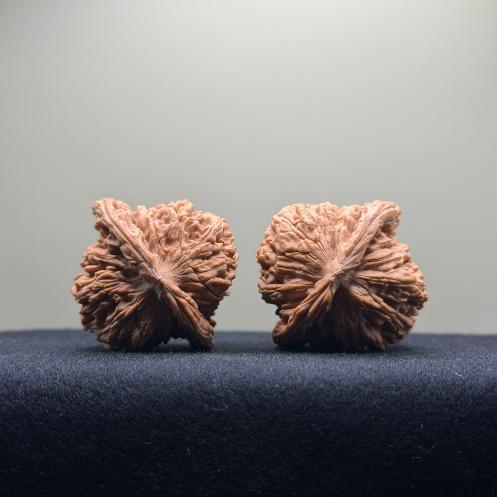 Four Towers Wenwan Walnut · 40mm · Natural · Select Ritual
