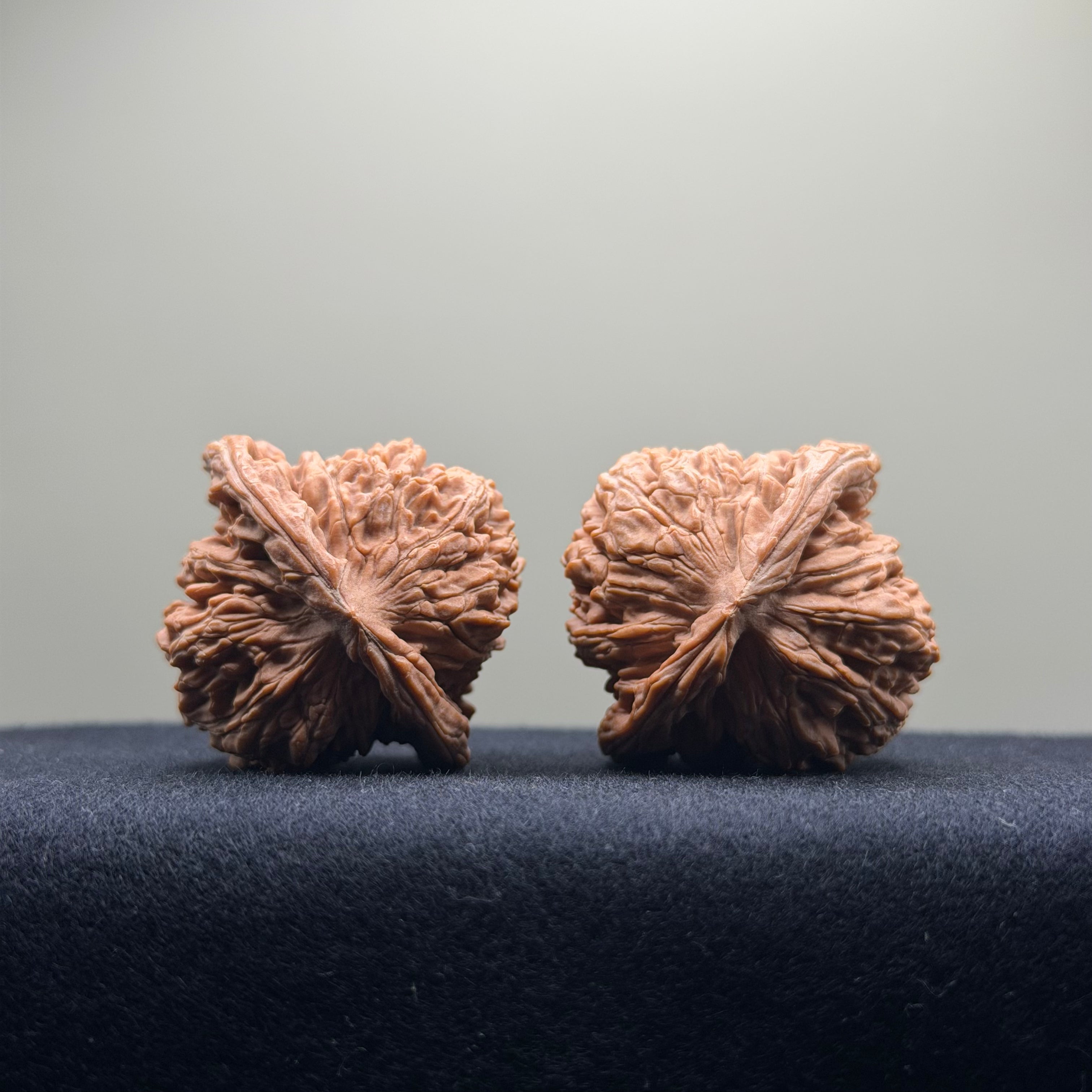 Four Towers Wenwan Walnut · 40mm · Natural · Select Ritual