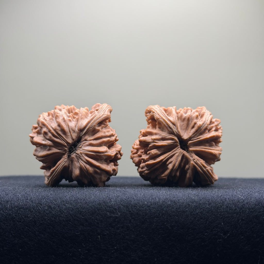 Four Towers Wenwan Walnut · 40mm · Natural · Select Ritual