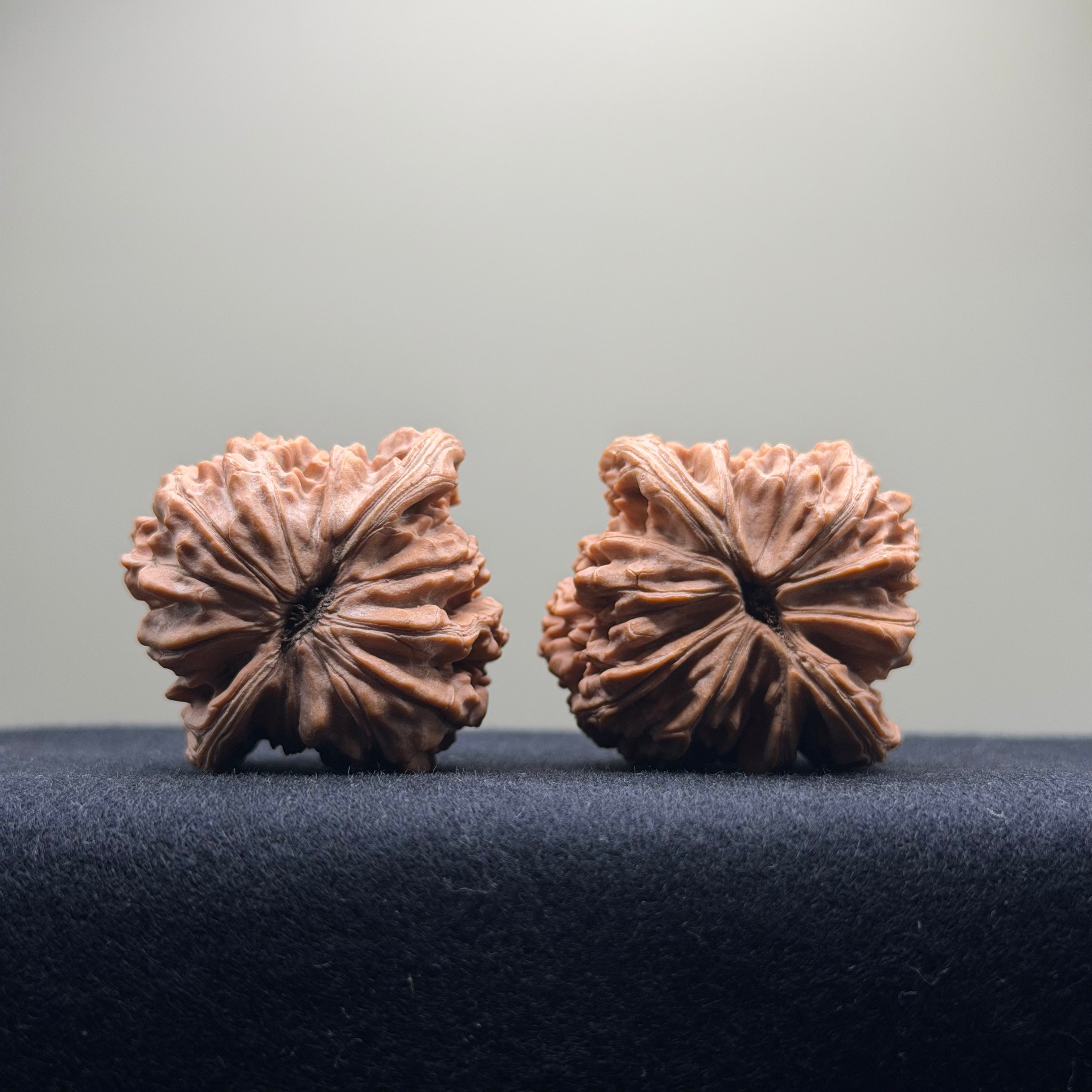 Four Towers Wenwan Walnut · 40mm · Natural · Select Ritual