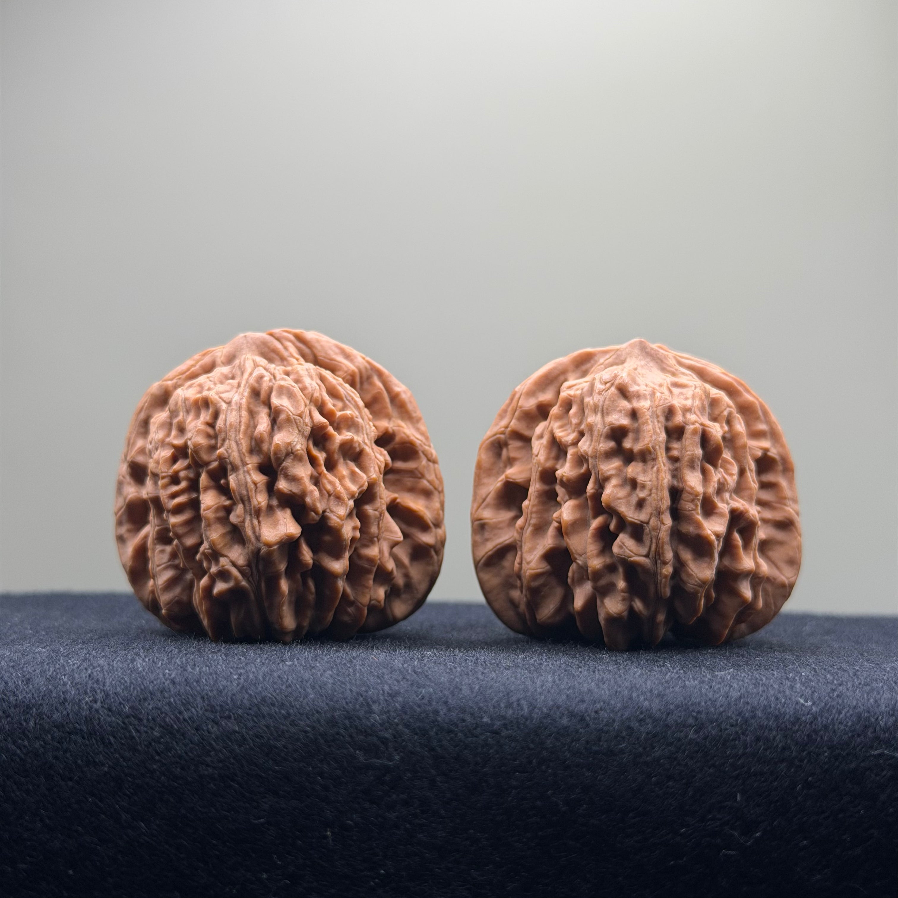 Four Towers Wenwan Walnut · 41mm · Natural · Select Ritual