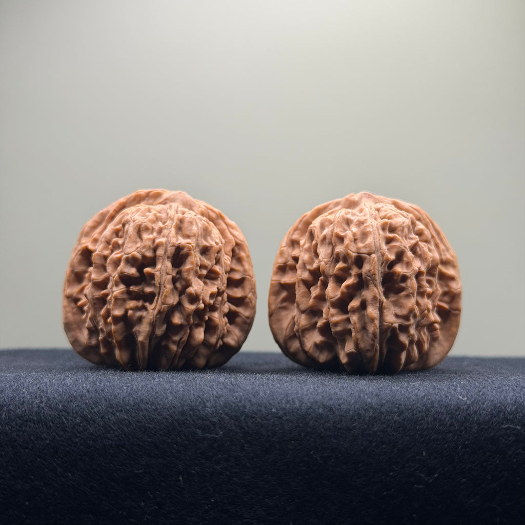 Four Towers Wenwan Walnut · 41mm · Natural · Select Ritual