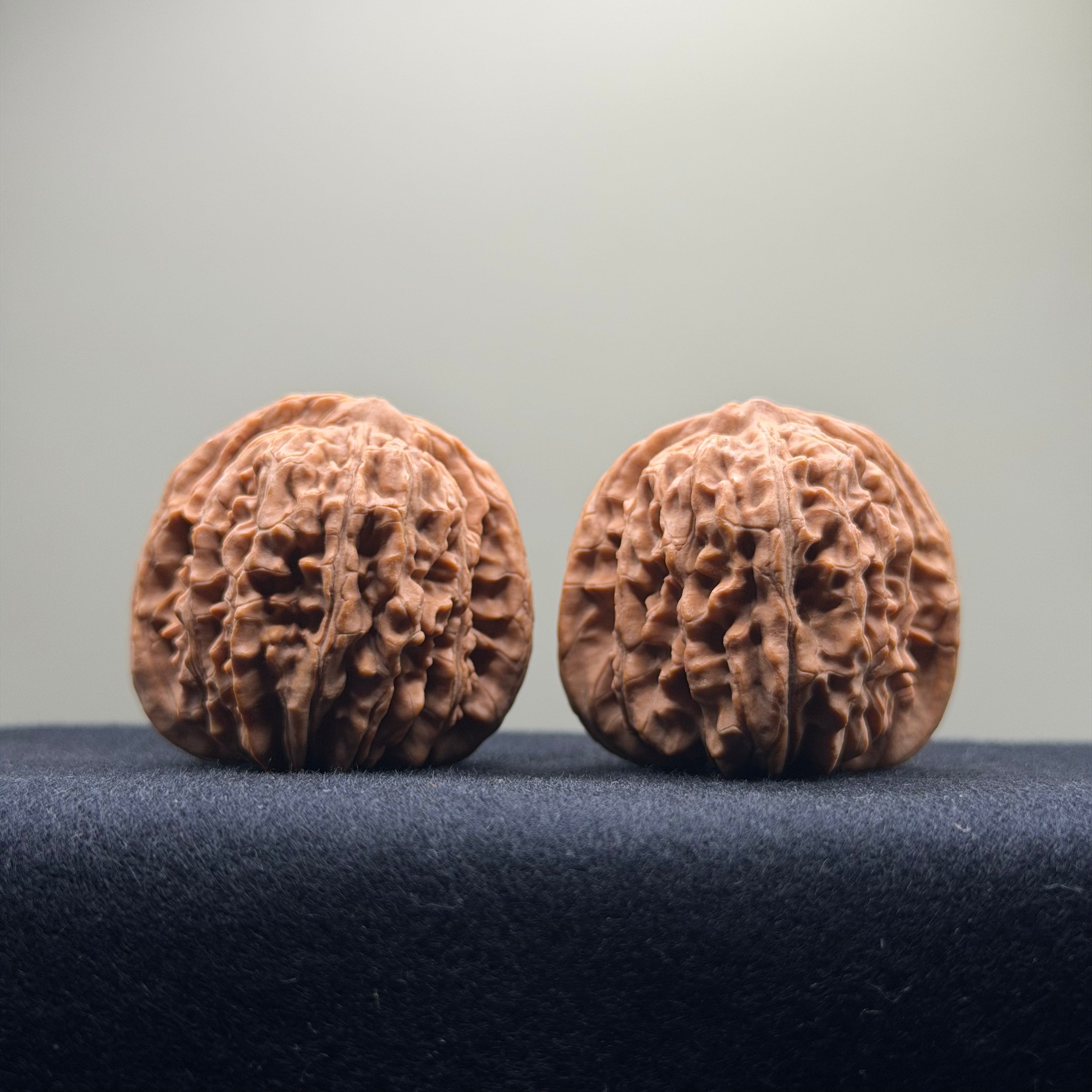 Four Towers Wenwan Walnut · 41mm · Natural · Select Ritual