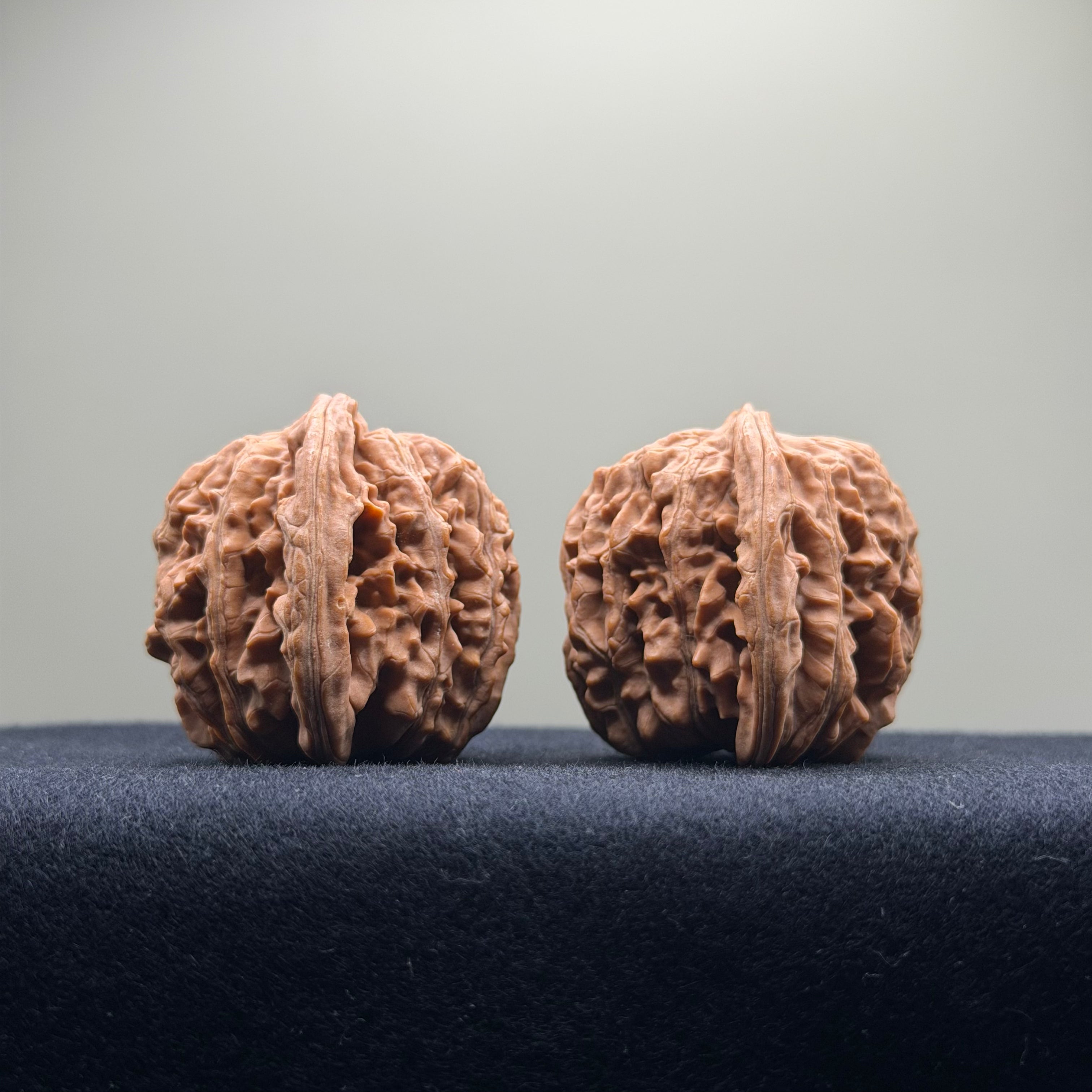 Four Towers Wenwan Walnut · 41mm · Natural · Select Ritual
